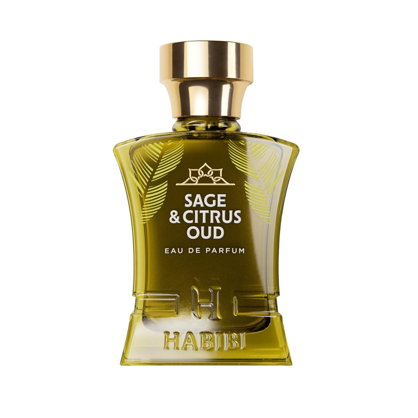 H HABIBI Sage & Citrus Perfume for Men – 2.5 oz (75ML) Long Lasting Arabian Cologne, Fresh Citrus Woody Men Perfume, Luxury Fragrance Gift for Special Occasions