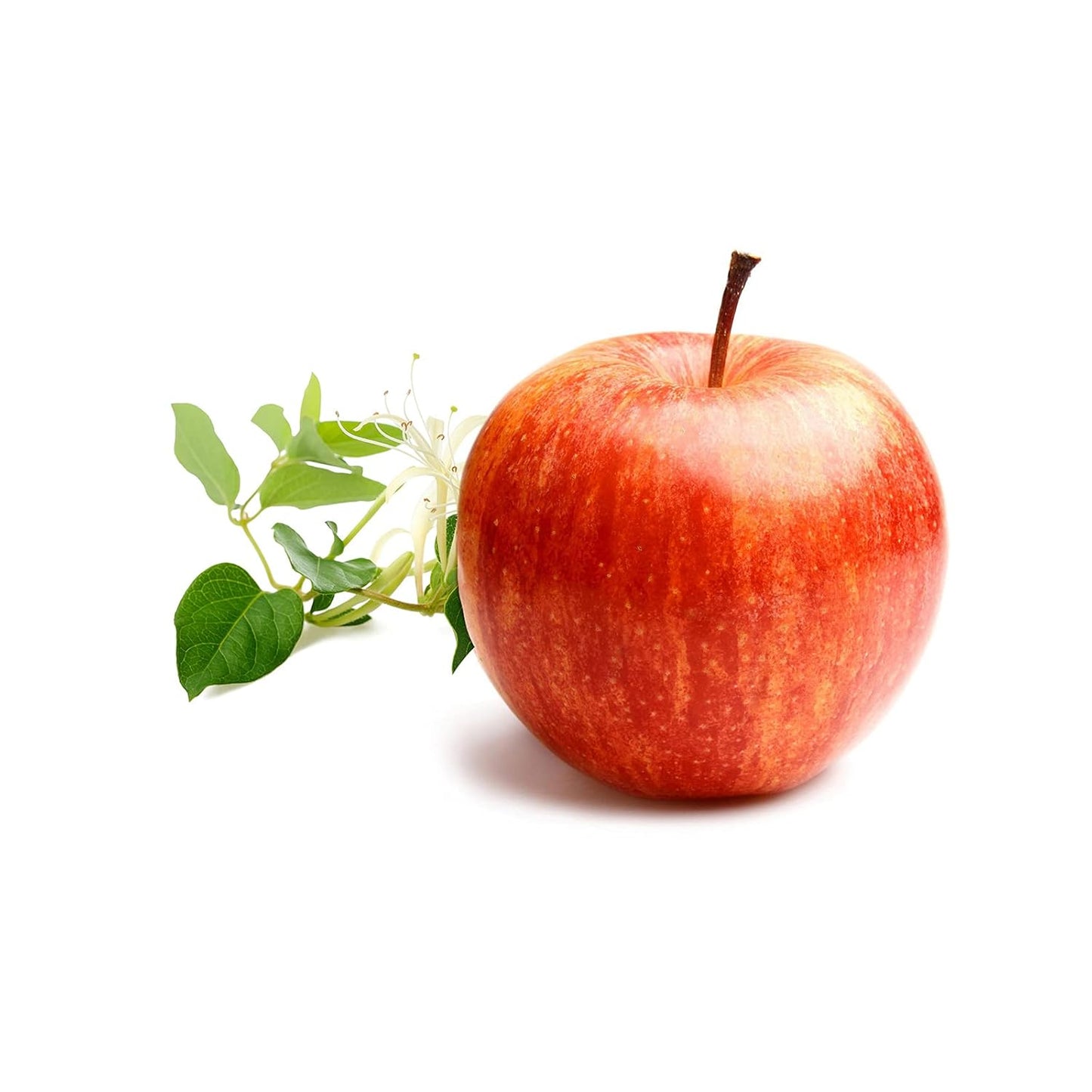 Derek Lam 10 Crosby - Drunk On Youth - 5.9 Oz Eau De Parfum - Fragrance Mist For Women - Fruity And Floral Scent - Perfume Spray With Apple And Honeysuckle Accords