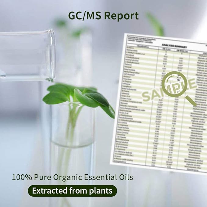 Sedbuwza Rose Sandalwood Essential Oil Set, Rose Fragrance Oil Sandalwood Scent Oil Set for Diffuser, Aromatherapy, Massage, Soap, Candle Making 2 x 10 ml