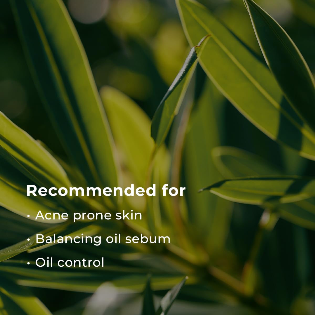 INNA ORGANIC Sheet Mask - Balancing & Oil Control, EWG & COSMOS Certified (Pack of 5) | Lemon Tea Tree Essential Oils Infused Skin Care | Luxury Clean Beauty