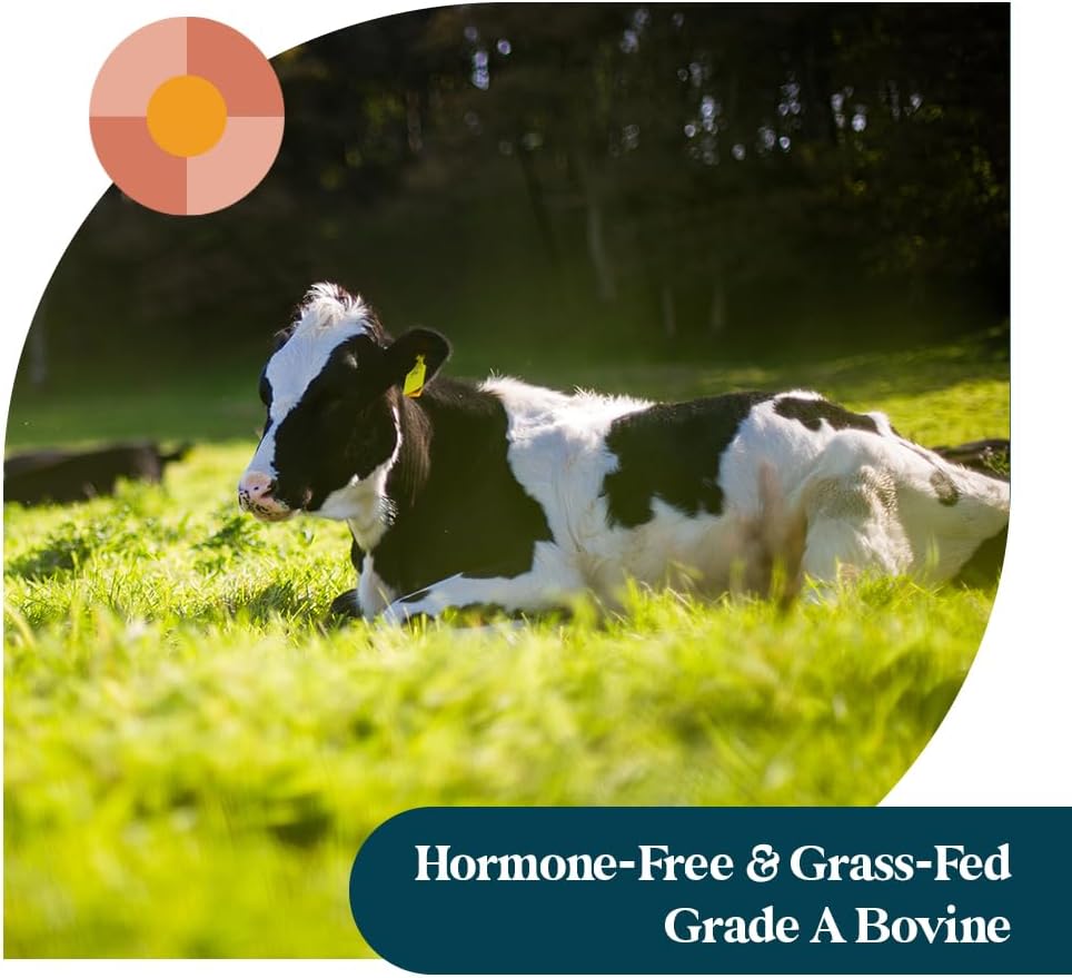 Pattern Wellness Collagen Peptides Powder (Type I & III) - Hair, Nails, Skin & Joint Support - Grass Fed & Pasture-Raised - Hydrolyzed, Non-GMO, Dairy Free, & Keto-Friendly - Chocolate (13 Oz)