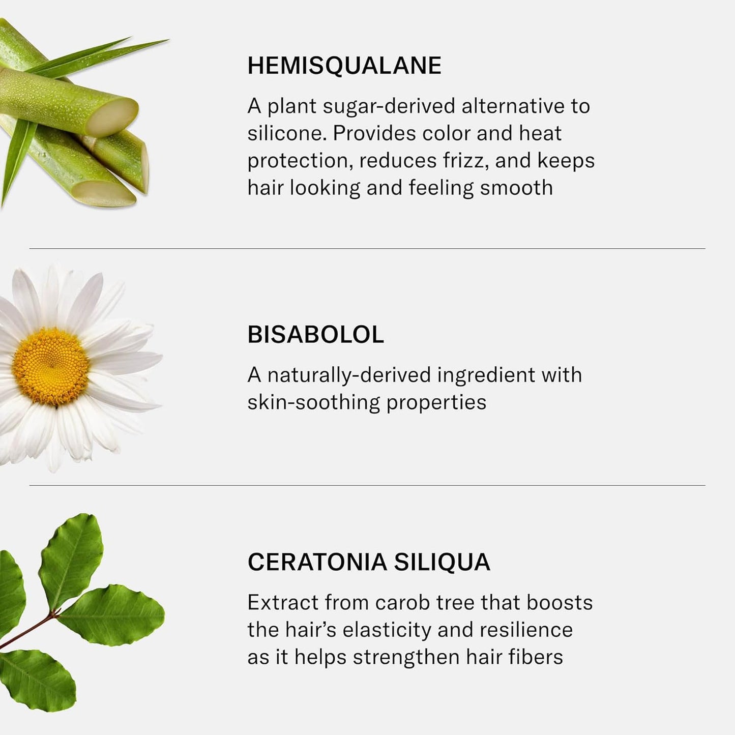 SEEN Curly Creme, Fragrance Free - Non-Comedogenic & Sulfate Free Curl Defining Styling Hair Cream- Anti Frizz- Heat Protectant- Safe for Sensitive Skin