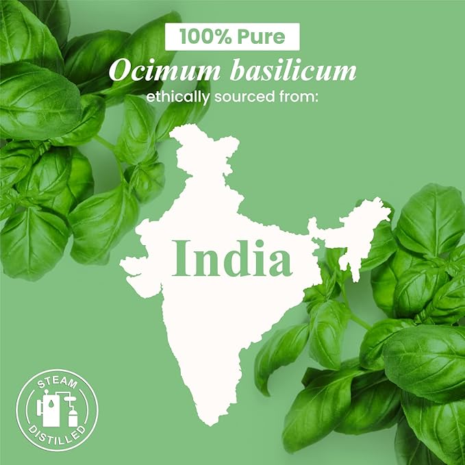 Handcraft Blends Basil Essential Oil - 0.33 Fl Oz - Pack of 2-100% Pure and Natural - Premium Grade Essential Oil for Diffuser and Aromatherapy