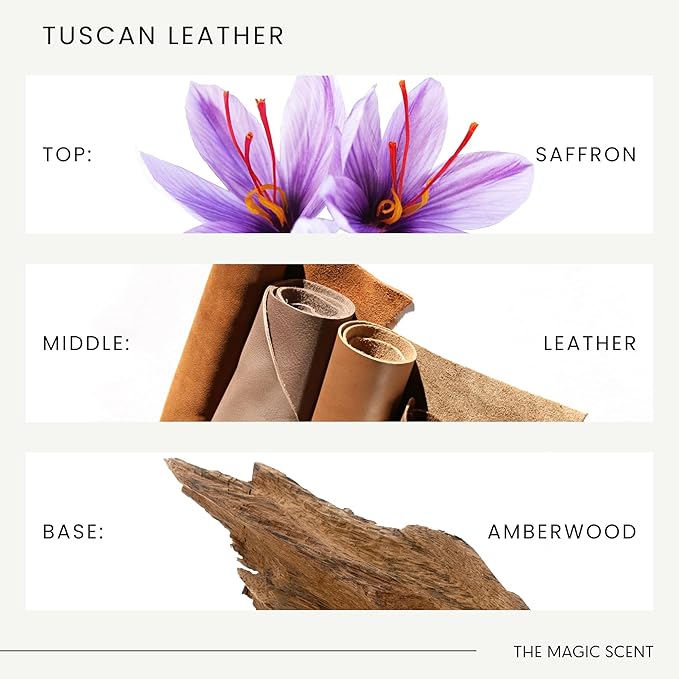 Tuscan Leather Oils for Diffuser - HVAC, Cold-Air, & Ultrasonic Diffuser Oil Inspired by Tom Ford - Essential Oils for Diffusers Aromatherapy - 8.5 fl oz, 250 mL