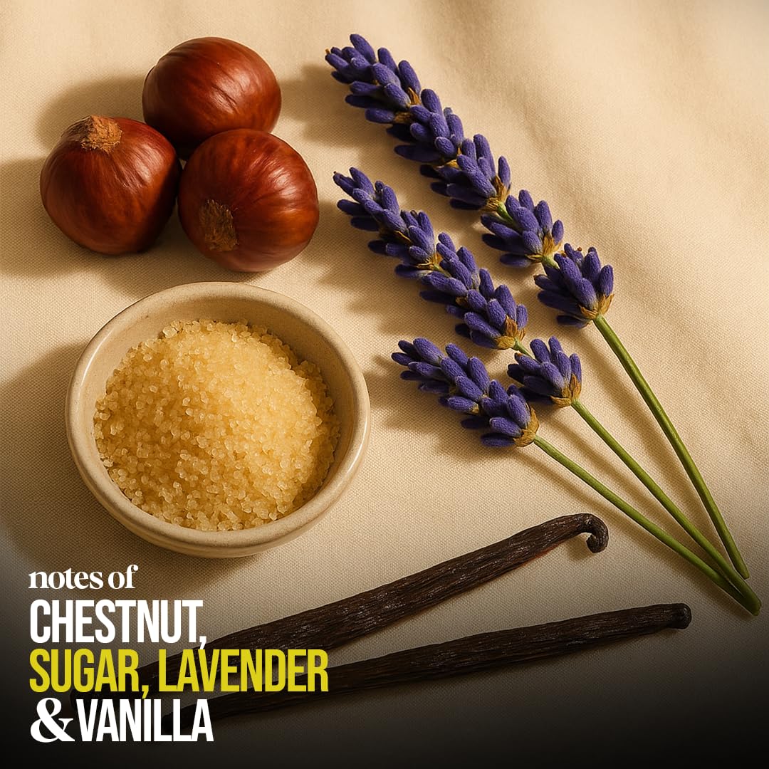 Eternal Perfume Oil Vanilla Campfire Perfume Oil Inspired by Armani Xtronger | Long Lasting Designer Perfumes for Men 50ml with 30ml - Concentrated perfume oil Alcohol-Free Natural Perfume (Pack of 2)