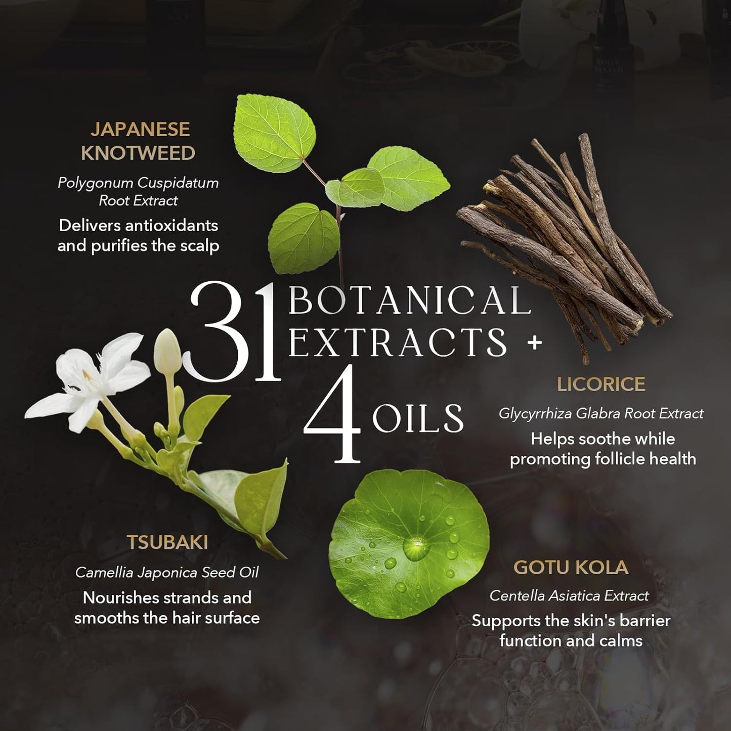 KIWABI Hair Color Shampoo for Gray Coverage – Gradual, All Natural Hair Dye Shampoo for Women & Men – Hydrating, Sulfate-Free, Ammonia-Free, Vegan Scalp Care with 31 Botanicals (Black)