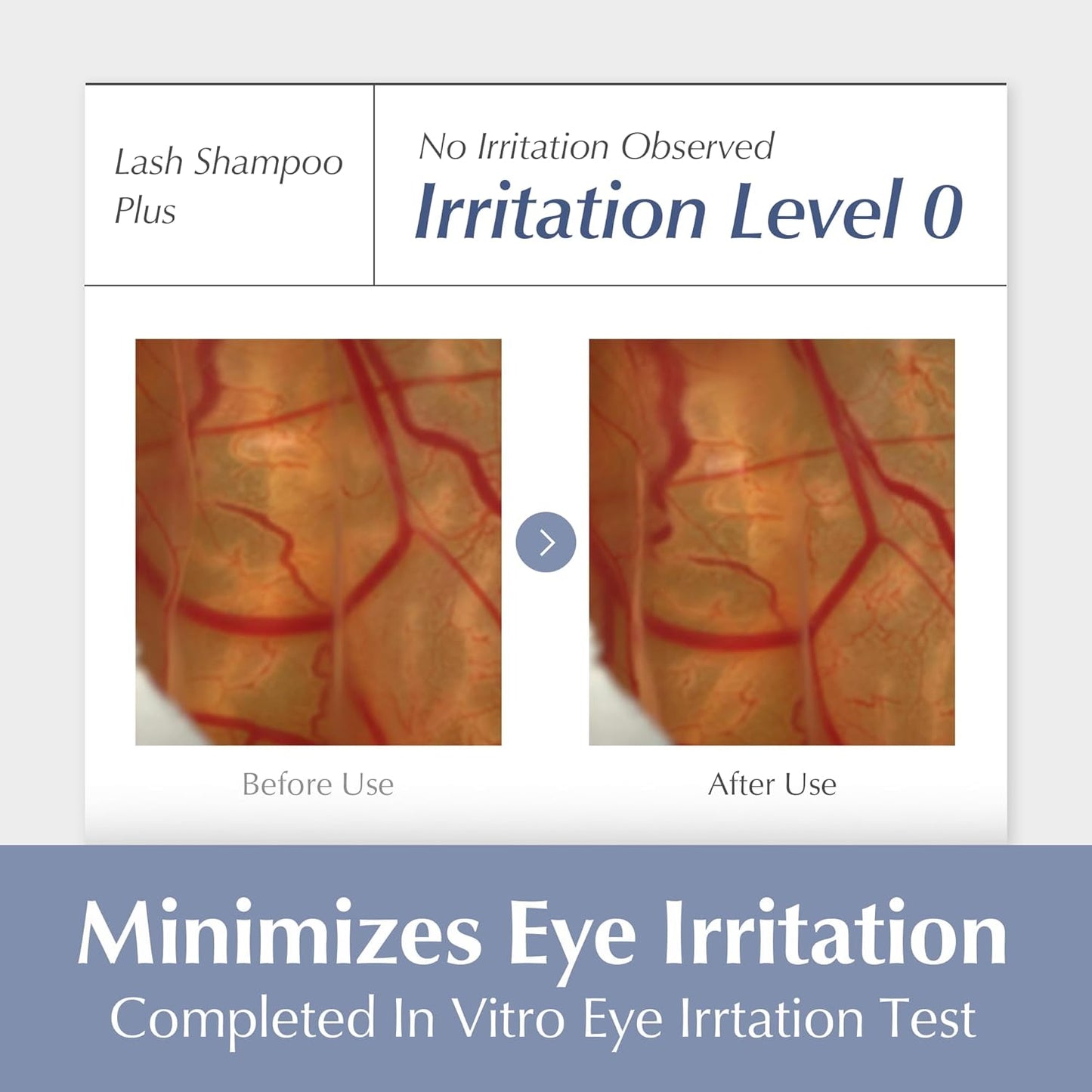 BL Lashes Eyelash Shampoo+ Brush, Eyelid Foaming Cleanser for Natural and Extension Lashes, Gentle Lash Bath and Makeup Remover for Salon and Home (50ml)