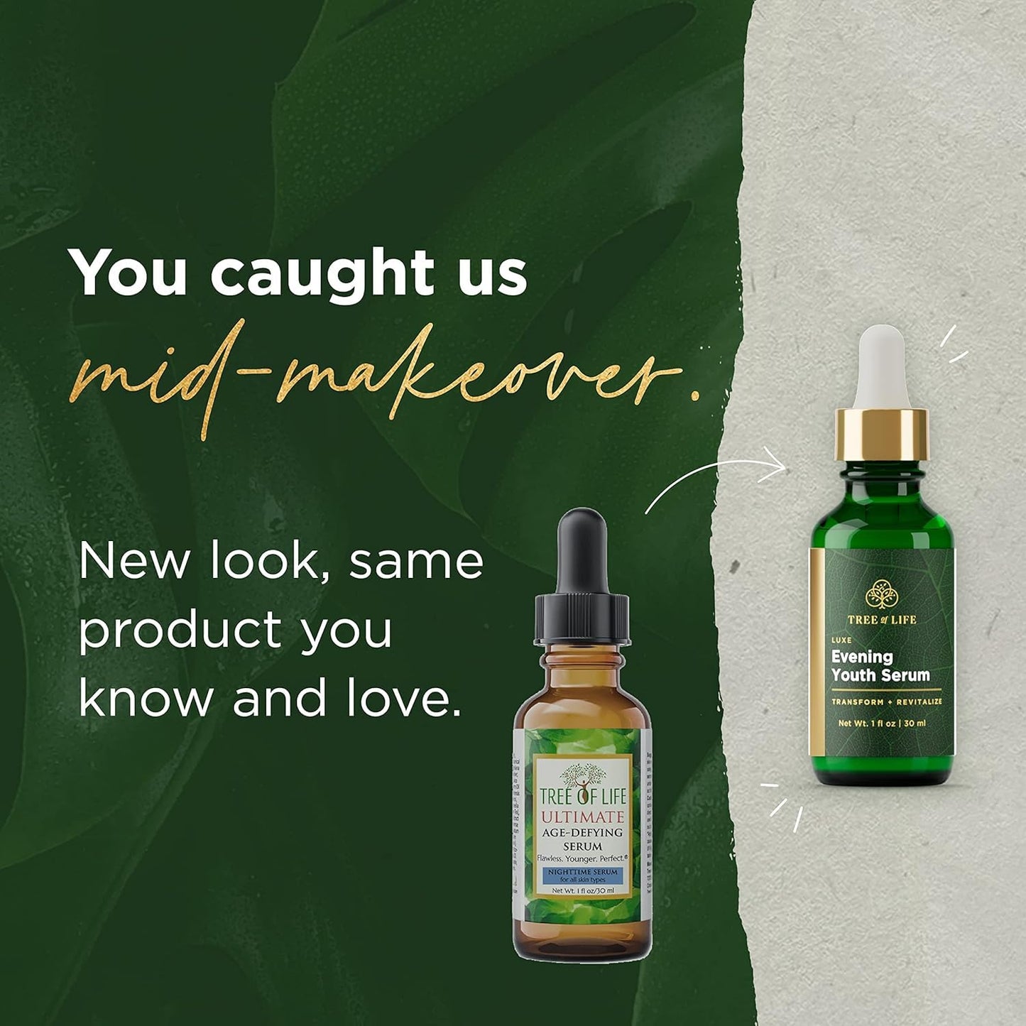 Tree of Life Beauty Ultimate Skin Care Set, Brightening, Firming, Hydrating, Moisturizing, Brightening, Complete Face Care Regimen - Evening Youth Serum and Cream 4 Pack