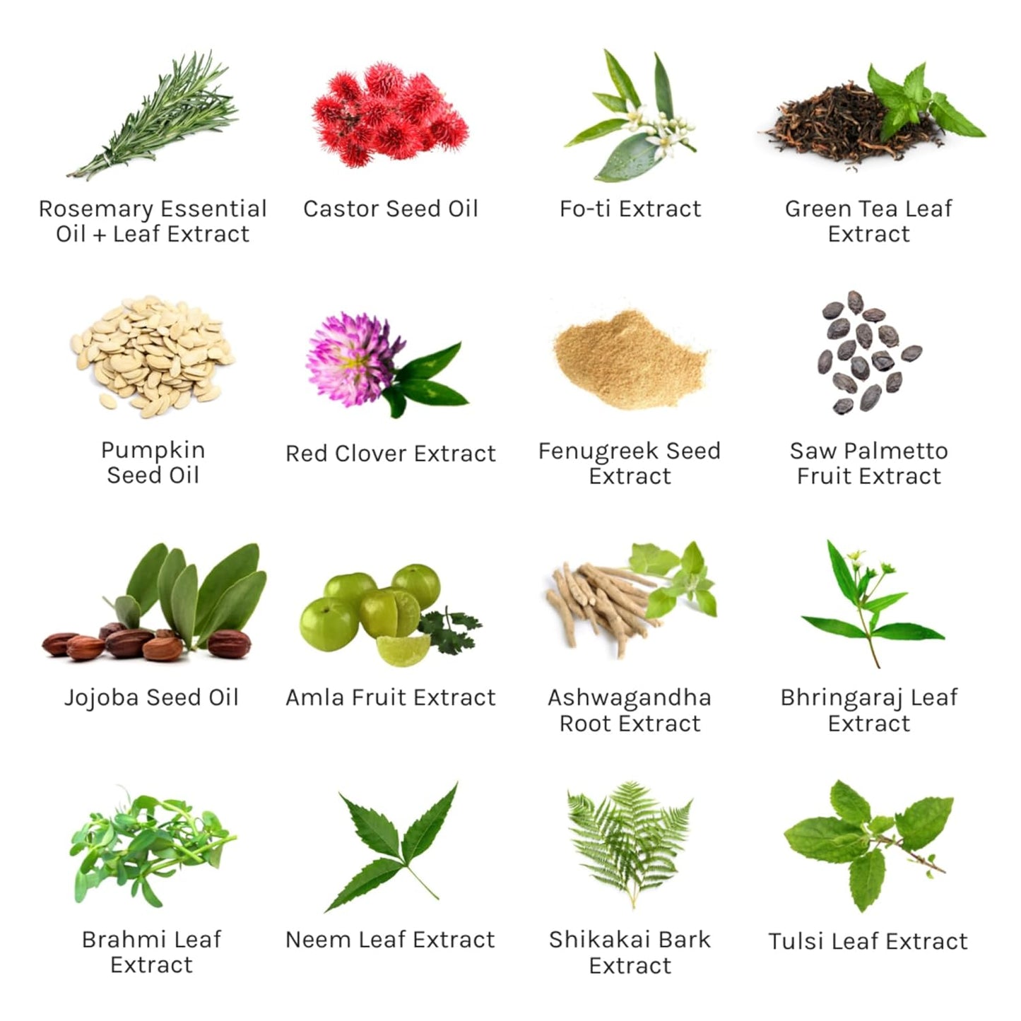 THE INNATE LIFE Rosemary Scalp Treatment | Nourish with Rosemary Oil, Strengthen Follicles, Hydrate Scalp, Prevent Hair Loss, Ideal for Healthier Hair - Organic Hair Care Solution