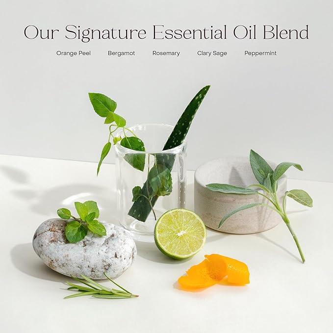 The Deep Conditioning Concentrate, Hydrating and Smoothing for Dry, Damaged, or Frizzy Hair, Hair Mask, Plant-Based, Vegan, 3.4 fl oz