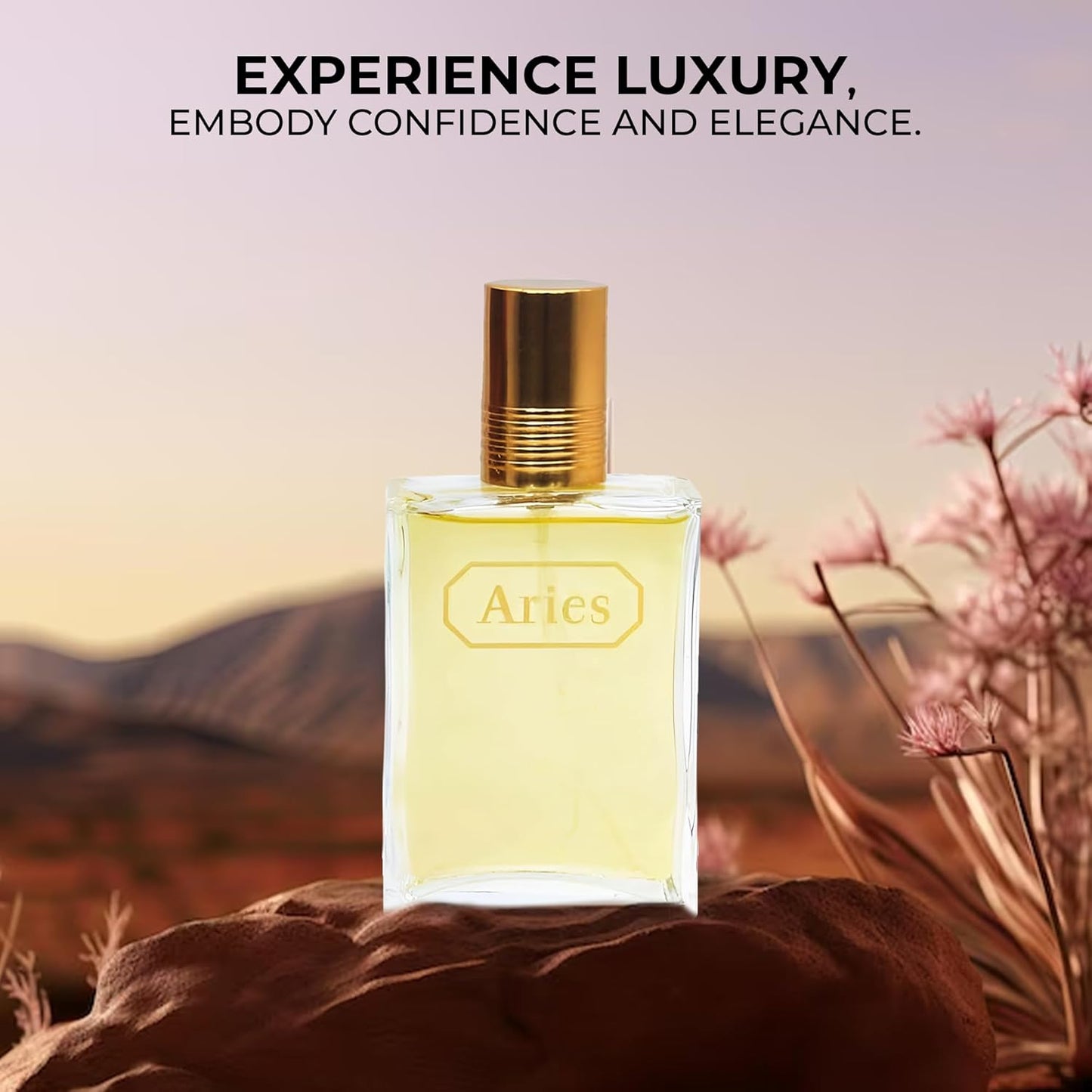 Aries Men's Cologne,Long Lasting Fresh Scent Eau de Toilette,3.4 Fl Oz Perfume for Men Every Day Used