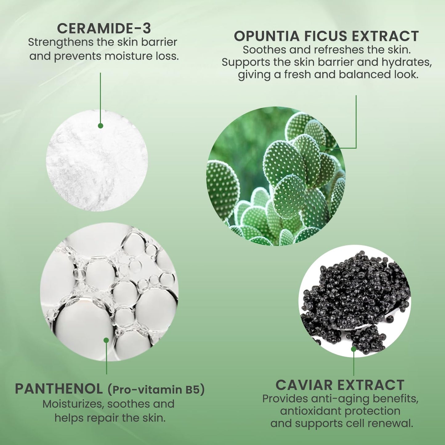 Hydrating Face Wash for Women–Cactus Extract Facial Cleanser–Anti Aging & Gentle Cleanser for Oily Skin–Hydro Boost Gel Texture–Refreshing Daily Wash – 13.5 oz