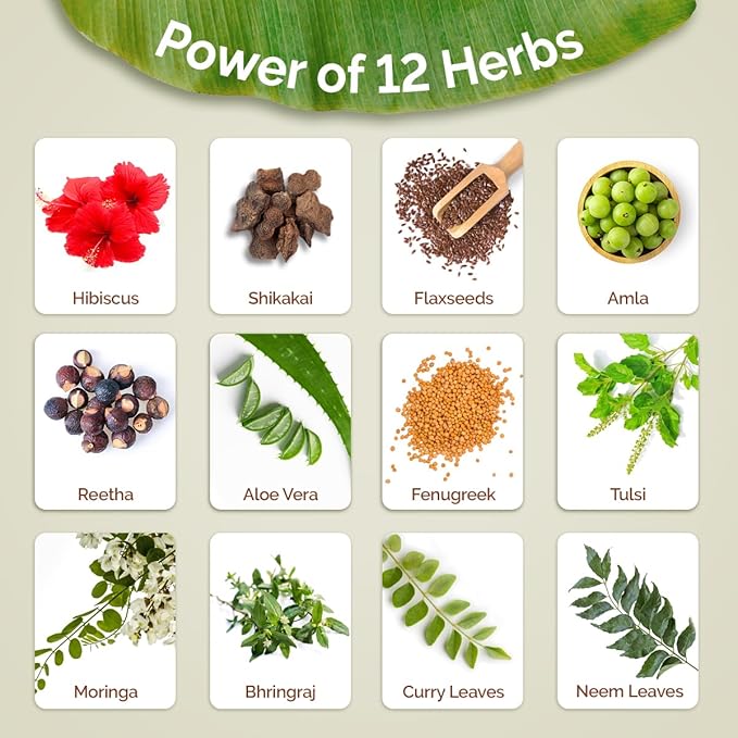 MAMAEARTH Kerala Thaali Cleansing Hair Mask for Thick & Long Hair | with Hibiscus, Shikakai, Amla, Flaxseed | Ready To Use Thali | Gently Cleanses with 12 Herbs | 7.05 Oz/200 g