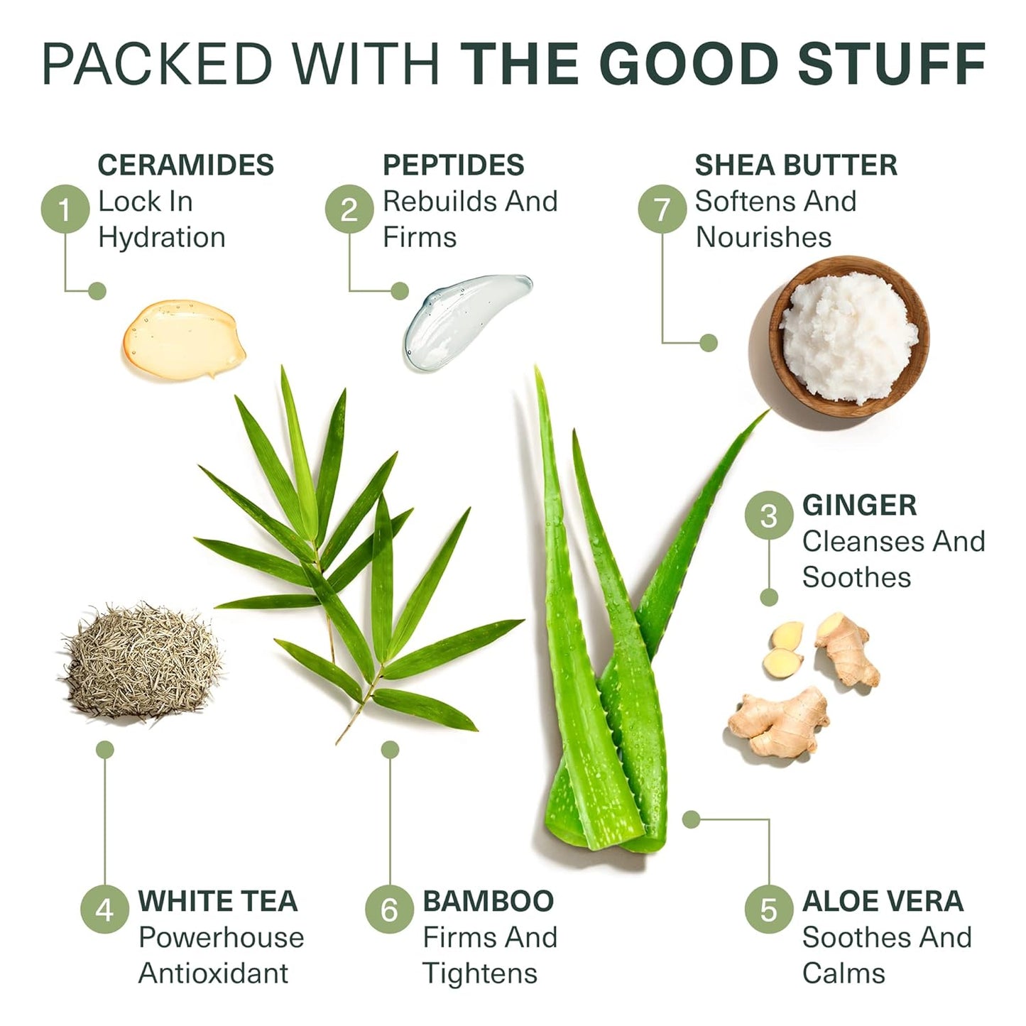 Botanic Tree Hydrating Glycolic Acid Cleanser - Exfoliating Face Wash - Face Cleanser for Women - Also with Ceramides & Peptides, Gently - for Dewy Bouncy Skin - 6oz