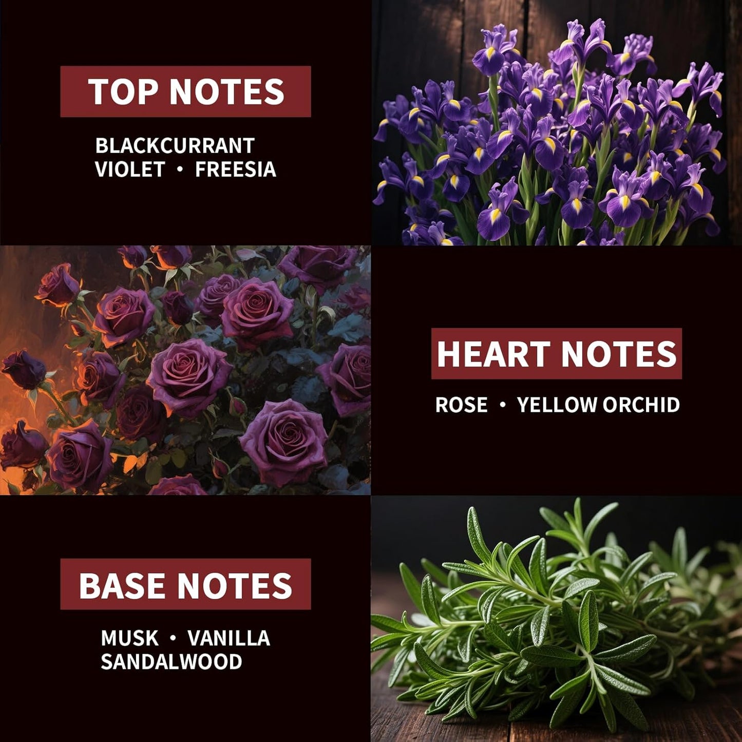 apple fresh fragrance,Black chestnut Violet Freesia perfume for men long-term spray, 1.65ounce portable designPortable pocket