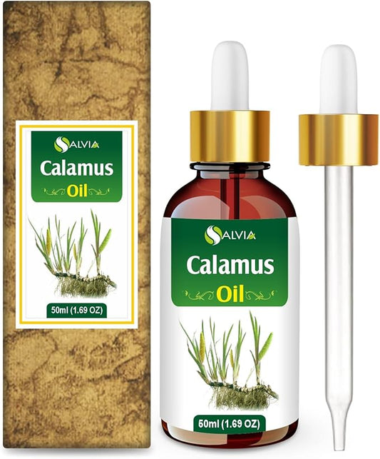 Calamus Oil (Acorus Calamus) Therapeutic Essential Oil with Dropper by Salvia Amber Bottle Natural Uncut Undiluted Pure Cold Pressed Aromatherapy Premium Oil - 50ML/ 1.6 fl oz