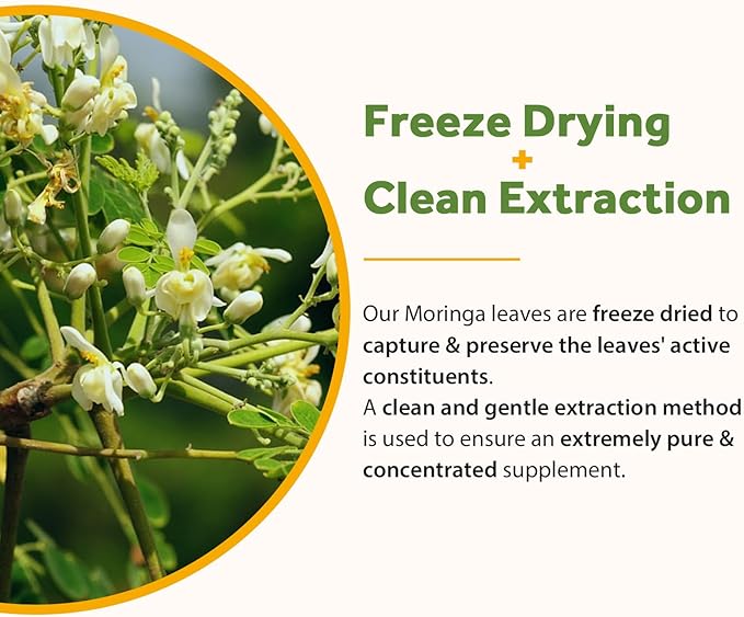 Doctor's Recipes Moringa 11,000 mg Strength 90 Caps and Multi Collagen Peptides 90Caps