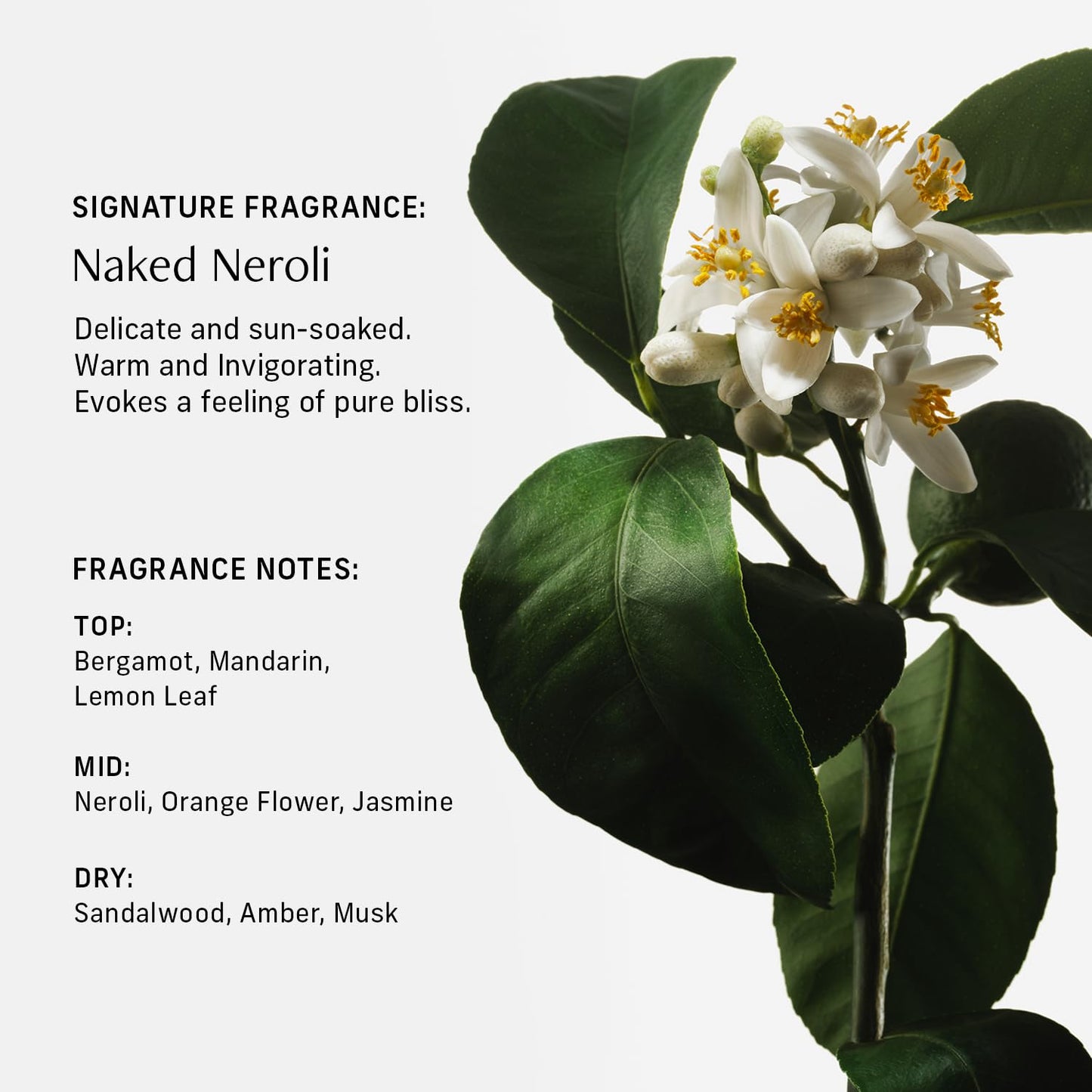 CYKLAR Sensorial Body Wash. Naked Neroli Hydrating Cleanser with Moisture Locking Multi-Oil Complex, Sodium PCA and Glycerin. Nourishing Shower Gel for Women and Men, 16.5 Fl Oz Luxury Bodywash