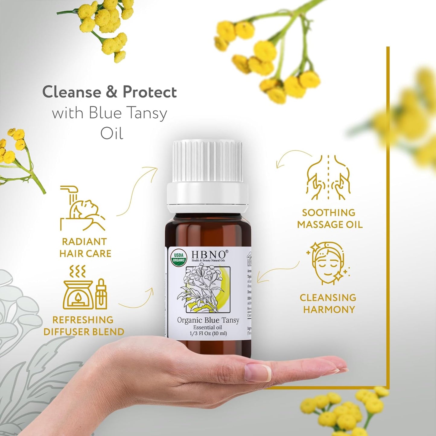 HBNO USDA Certified Organic Blue Tansy Essential Oil - 1/3 OZ (10 ml) Travel Size - Perfect for Aromatherapy, DIY, Candle Making, Soap Making, Diffusers - Blue Tansy Essential Oils