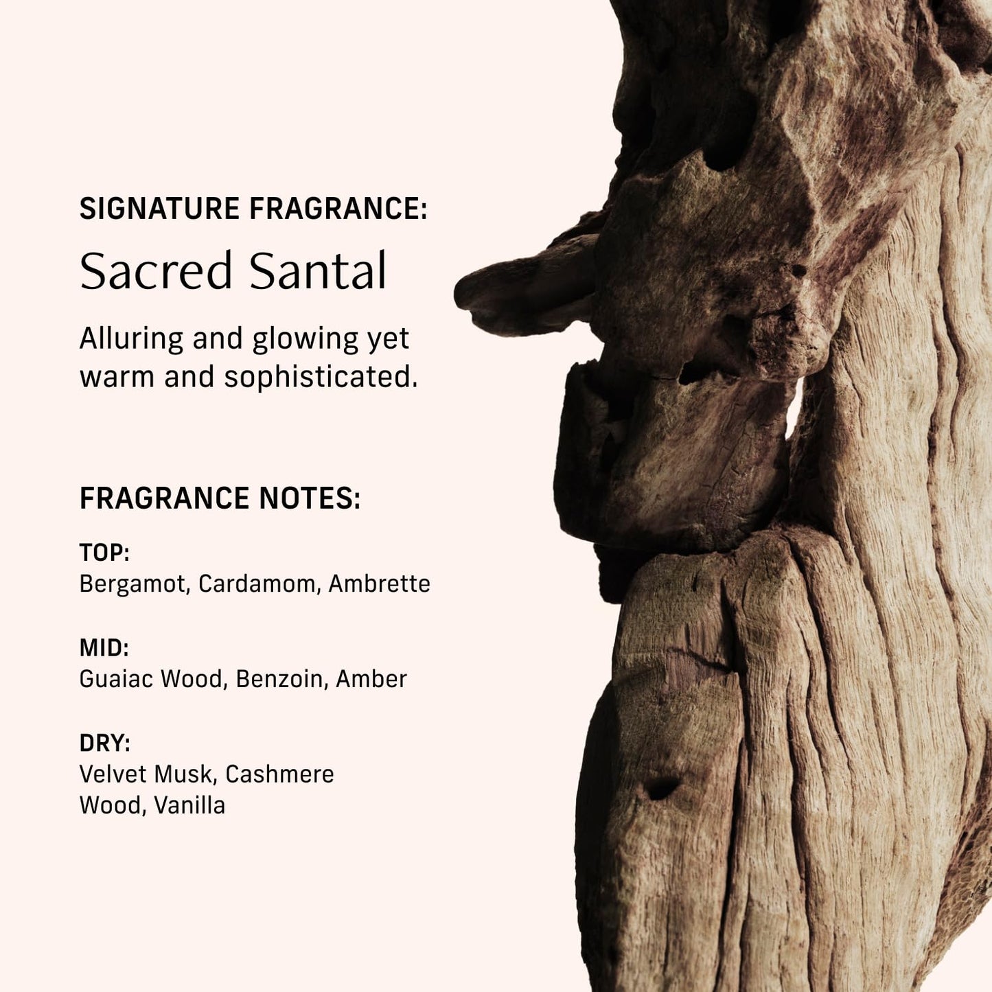 CYKLAR Perfume Oil Roll-on. Travel-Friendly Sacred Santal Fragrance with Bergamot, Amber, and Musk Notes. Long-Lasting Essential Oil Parfum for Women and Men. 0.5 Fl Oz Scented Rollerball Bottle