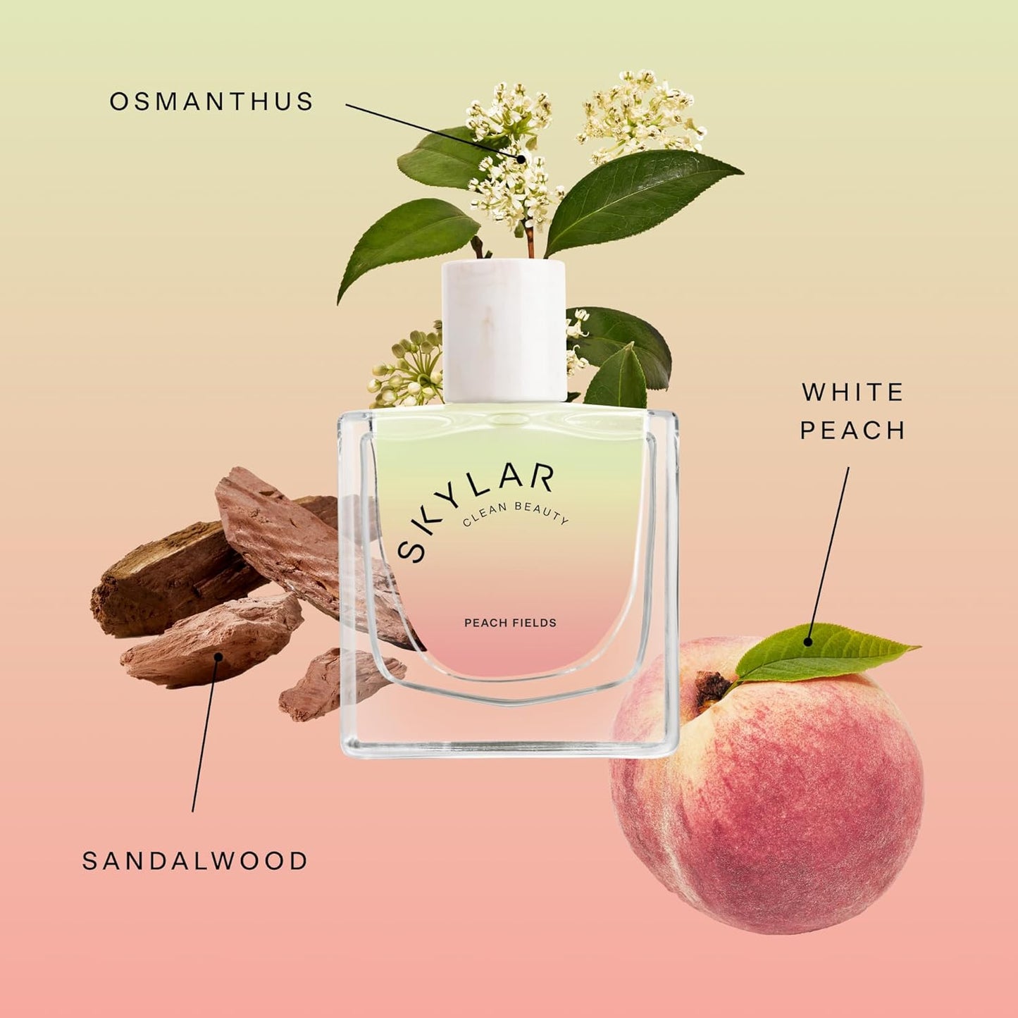 Skylar Peach Fields Eau de Parfum - Hypoallergenic & Clean Perfume for Women & Men, Vegan & Safe for Sensitive Skin - Sweet Perfume with Notes of Mandarin, Grapefruit, White Peach - 50mL /1.7 Fl oz