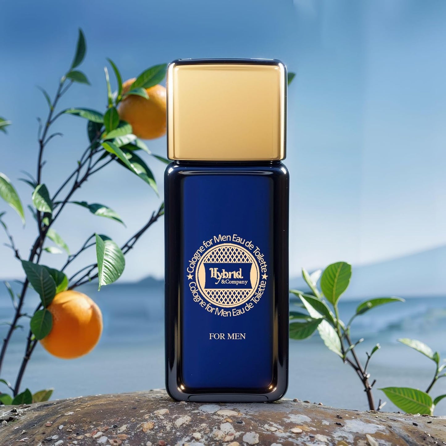 Hybrid & Company Blue Noir For Men Eau De Toilette Vaporisateur Natural Spray 3.4 Fl Oz