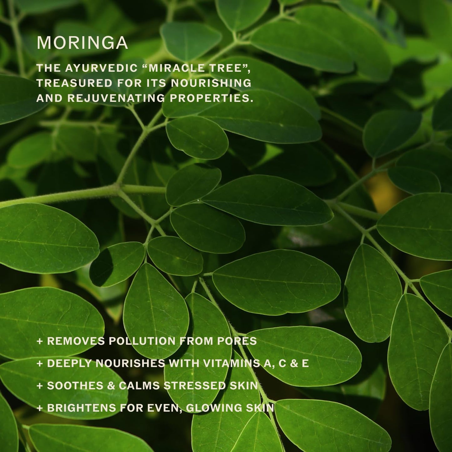 Sahajan Essential Cleansing Oil with Vitamin C + Squalane | Ayurvedic Gentle Clean Facial Cleansing Oil | All Skin Types, Sensitive Eyes | Remove Waterproof Makeup, SPF, Pollution | 4 oz