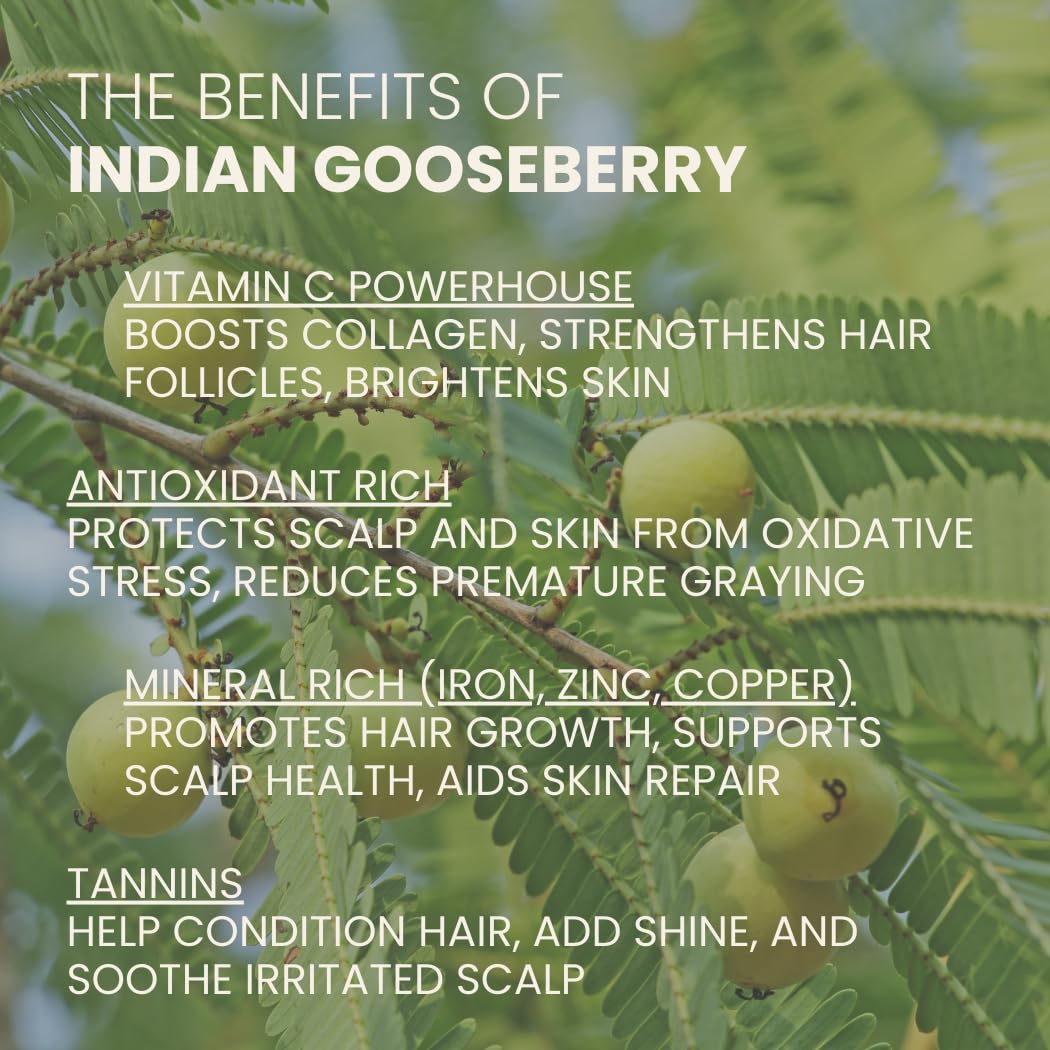 Ahimsa Natural Body Wash for Women, Hydrating & Moisturizing Body Wash Sensitive Skin, Antioxidant-Rich Bath & Shower Gels with Spearmint & Ginger, Gentle, Plant-Based, Organic Formula, 10oz