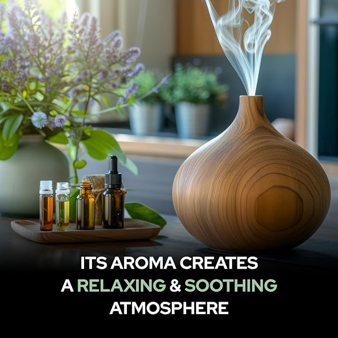 Calamus Oil (Acorus Calamus) Therapeutic Essential Oil with Dropper by Salvia Amber Bottle Natural Uncut Undiluted Pure Cold Pressed Aromatherapy Premium Oil - 50ML/ 1.6 fl oz