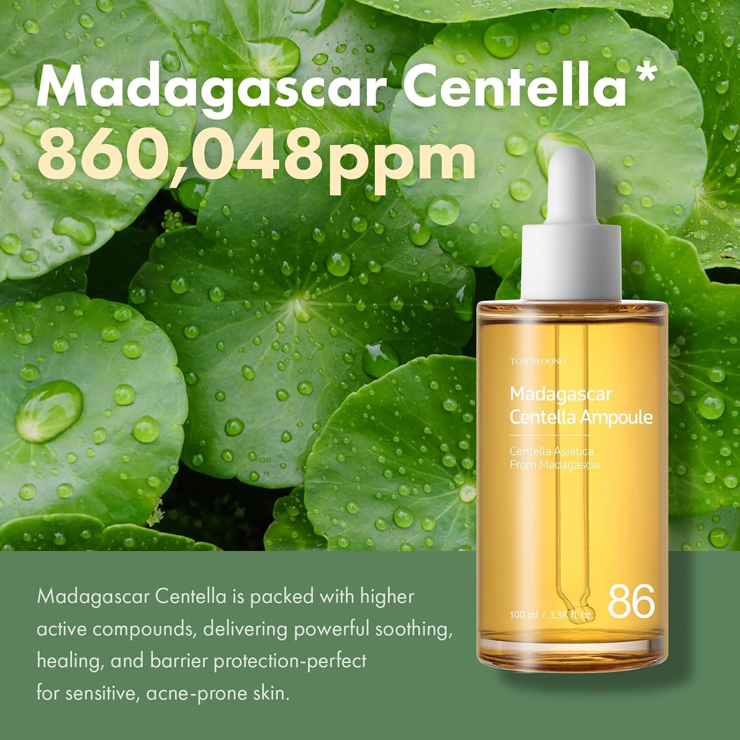 TOSOWOONG Madagascar Centella 86% Ampoule with 860,048ppm Centella Asiatica, Soothing, Calming, Facial Serum for face, for All Skin Types, Korean Skin Care, 100ml, 3.38 fl.oz.