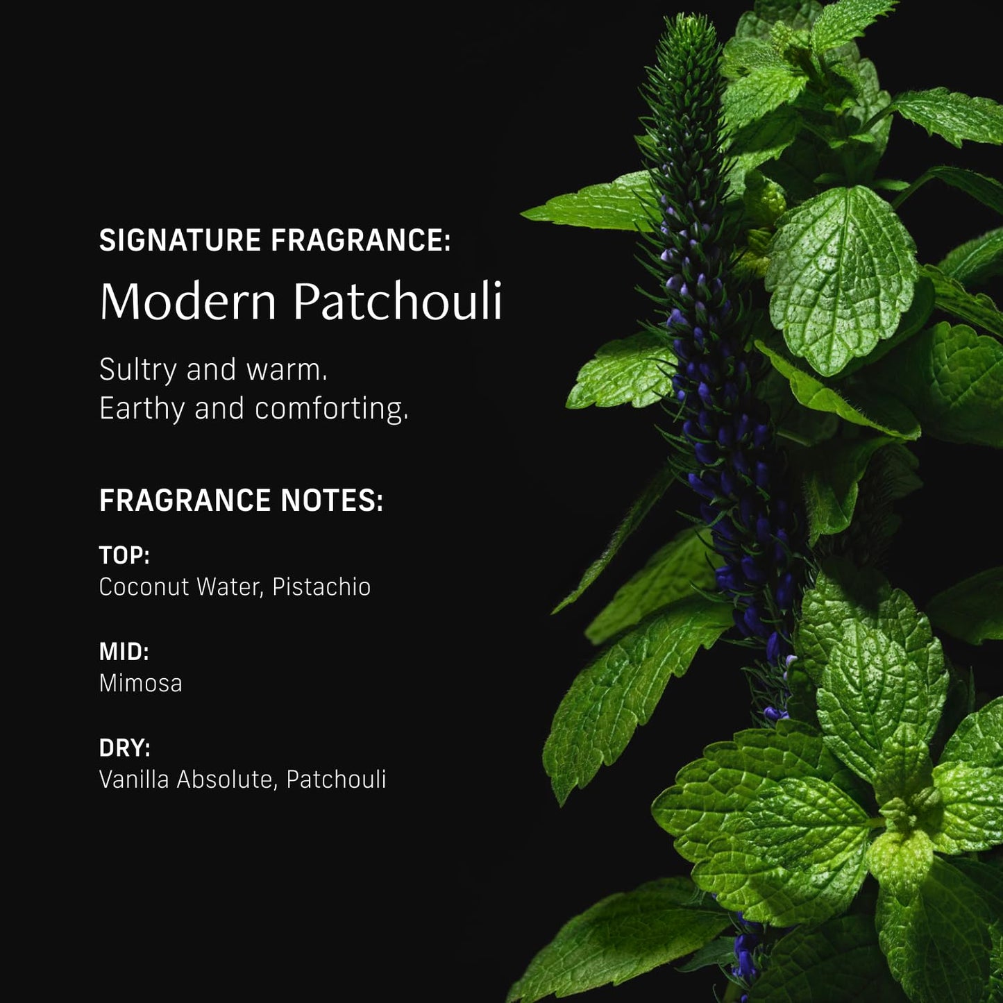 CYKLAR Perfume Oil Roll-On. Travel-Friendly Modern Patchouli Fragrance with Bergamot, Verbena, and Cashmere. Long-Lasting Essential Oil Parfum for Women and Men. 0.5 Fl Oz Scented Rollerball Bottle