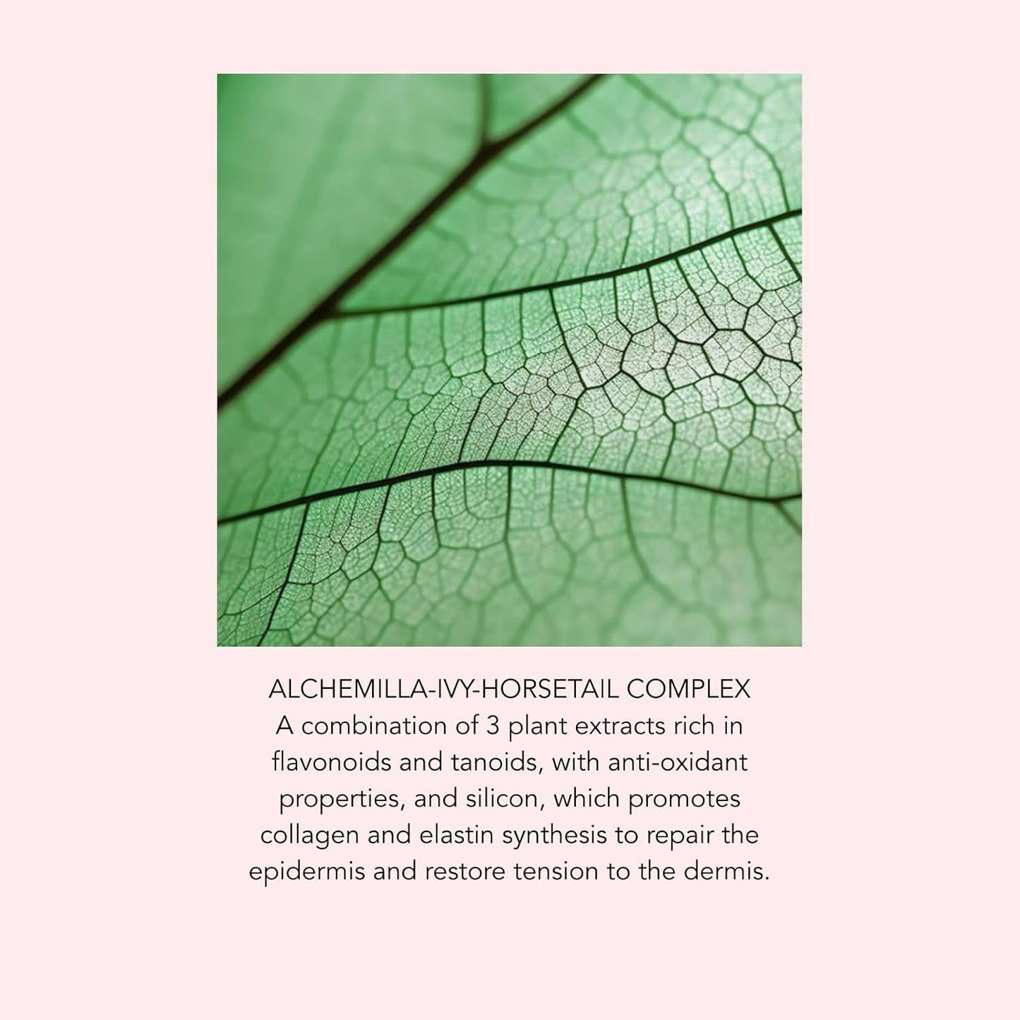 Lierac Phytolastil Stretch Mark Removal Concentrate - Firms Skin, Fades Cellulite, Diminishes Stretch Marks on Breasts, Stomach, Hips, Buttocks & Thighs, Hydrating for All Skin Types - 100ml