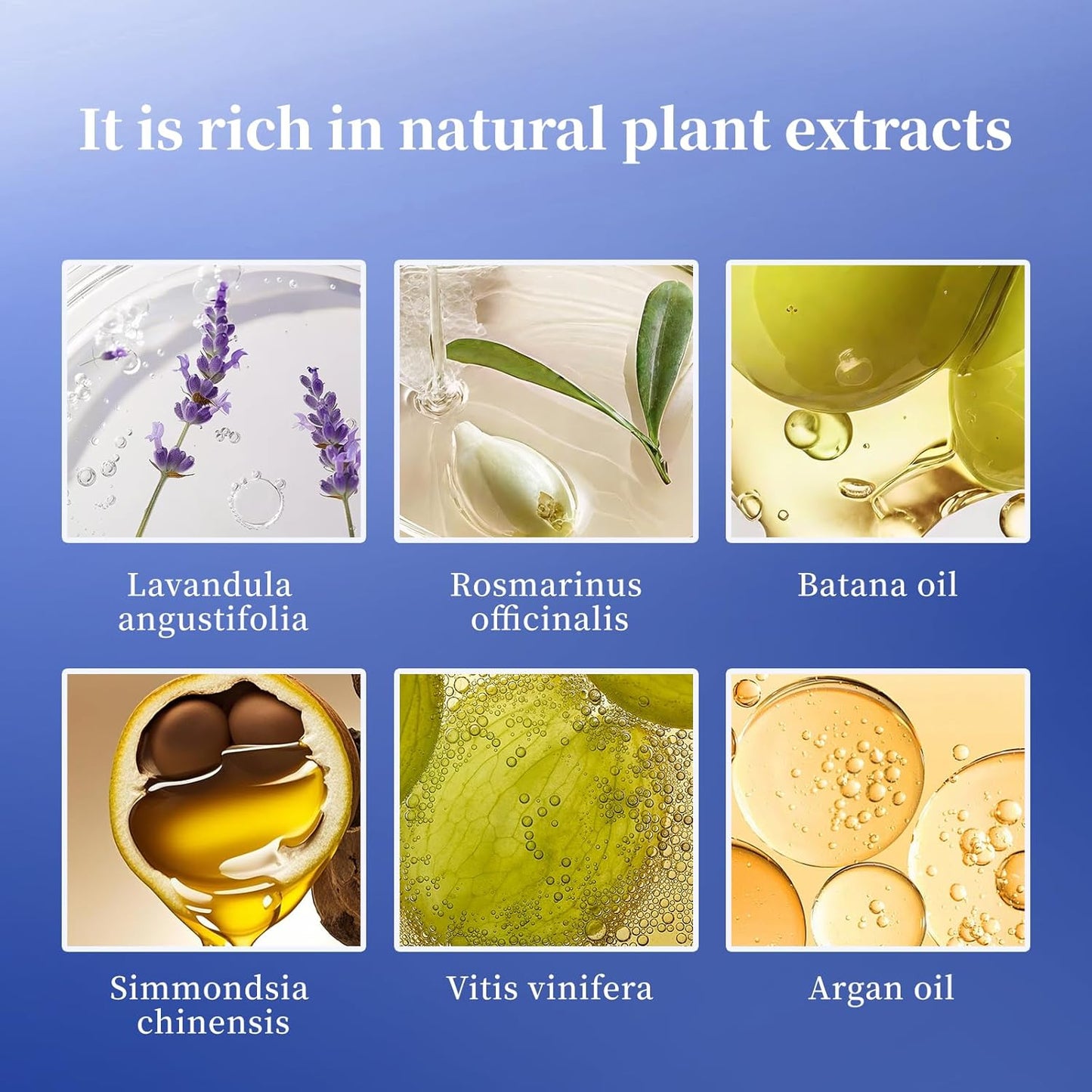 Rosemary Hair Treatment Oil Spray 80ml - Frizz Control & Split End Repair, Infused with Argan Oil, Batana Oil, Lavender Oil for Instant Smoothness - Long-lasting Bluebell Fragrance