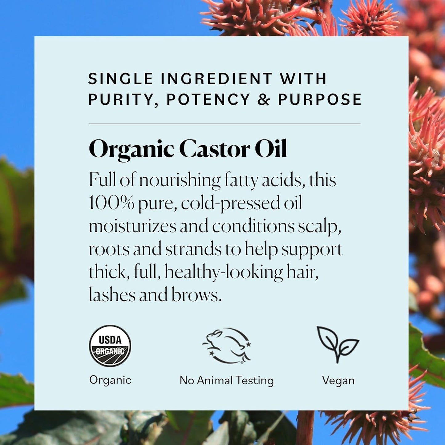 Sky Organics - Castor Oil Organic - Volumizing Hair Oil - Scalp, Lashes, Brows - Pure Castor Oil Cold Pressed - Natural Conditioner - Omega Fatty Acids, Vegan - Beauty, Hair,16oz, 2 Pack w Ebook