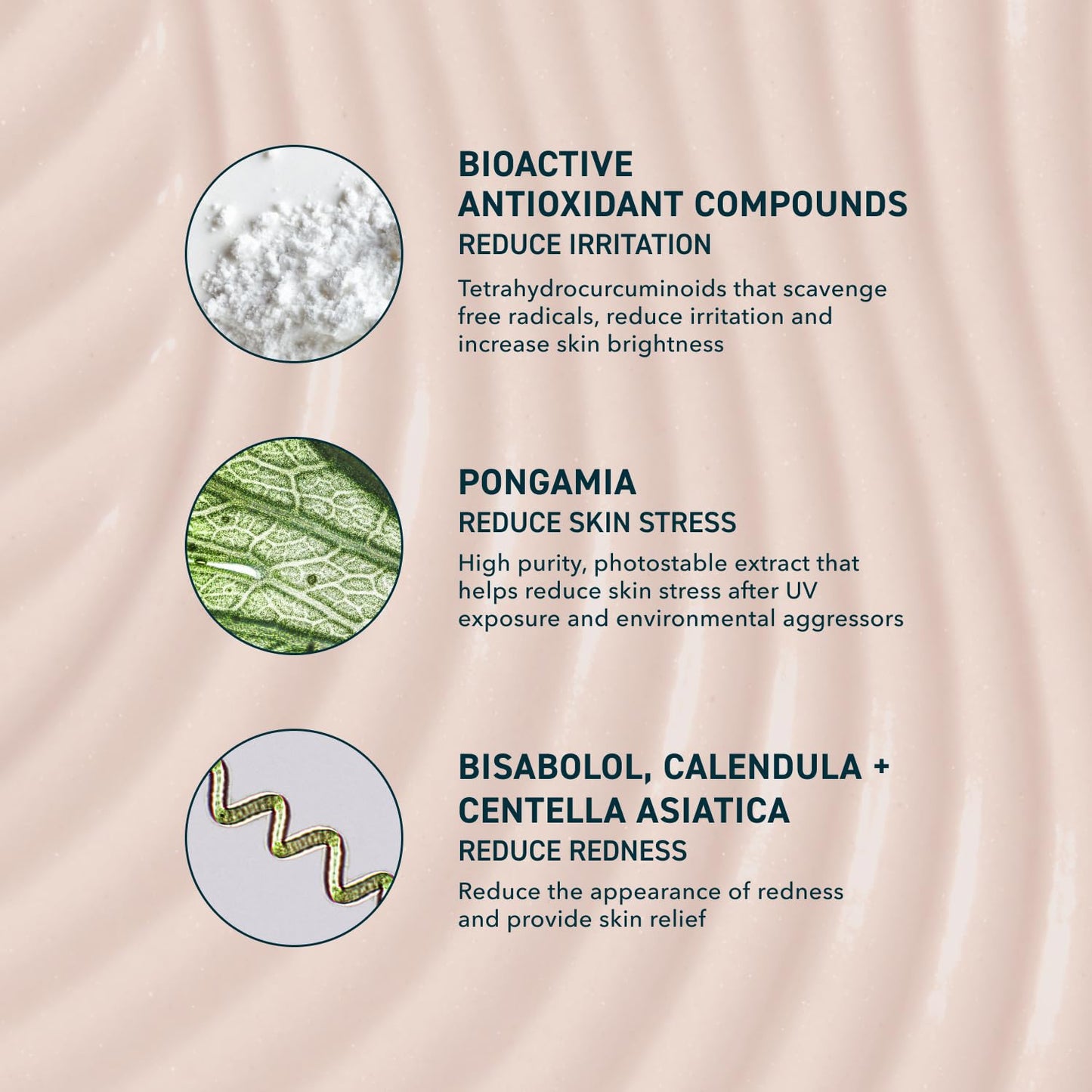 Prequel Skin Sun Barrier Mineral Sunscreen SPF 50. PA++++ Broad Spectrum Zinc Oxide Sunblock with Semi-Transparent Lightweight Texture. Moisturizing UV Defense for Face. Travel Size, 1.7oz