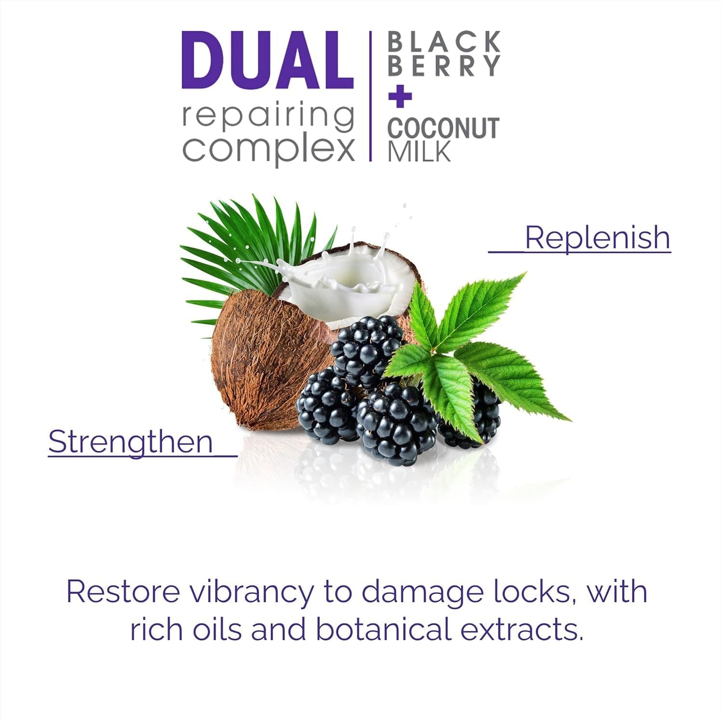 GIOVANNI 2chic Ultra-Repairing Shampoo & Conditioner Set - For Damaged, Over-Processed Hair, Helps Restore Hair's Natural Elasticity, Blackberry & Coconut Oil, Shea Butter, Color Safe - 8.5 oz Each