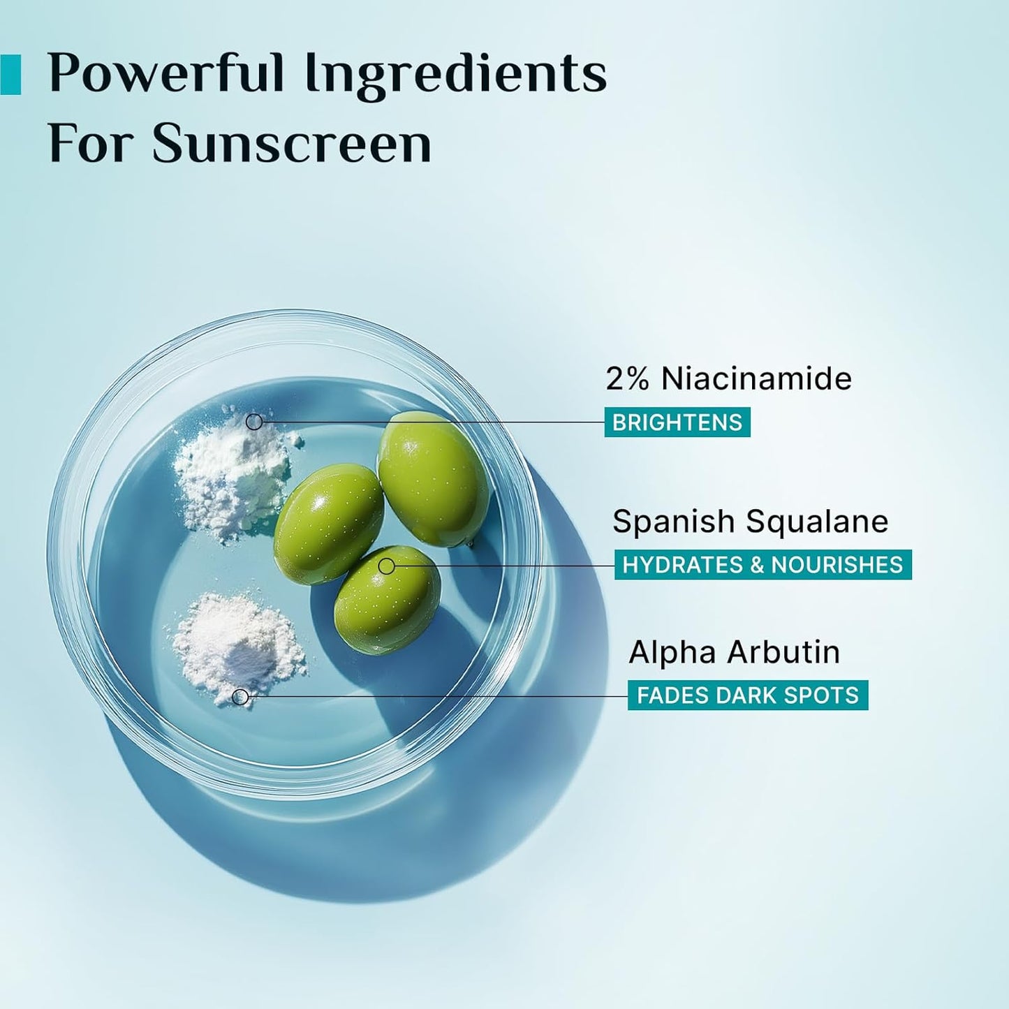 Pilgrim Korean Cica Moisturizer with 5 Ceramides & 2% Niacinamide Glow Gel Sunscreen SPF 50 PA+++ | Hydration, Barrier Strength & Bright Glow | Lightweight & Non-Sticky