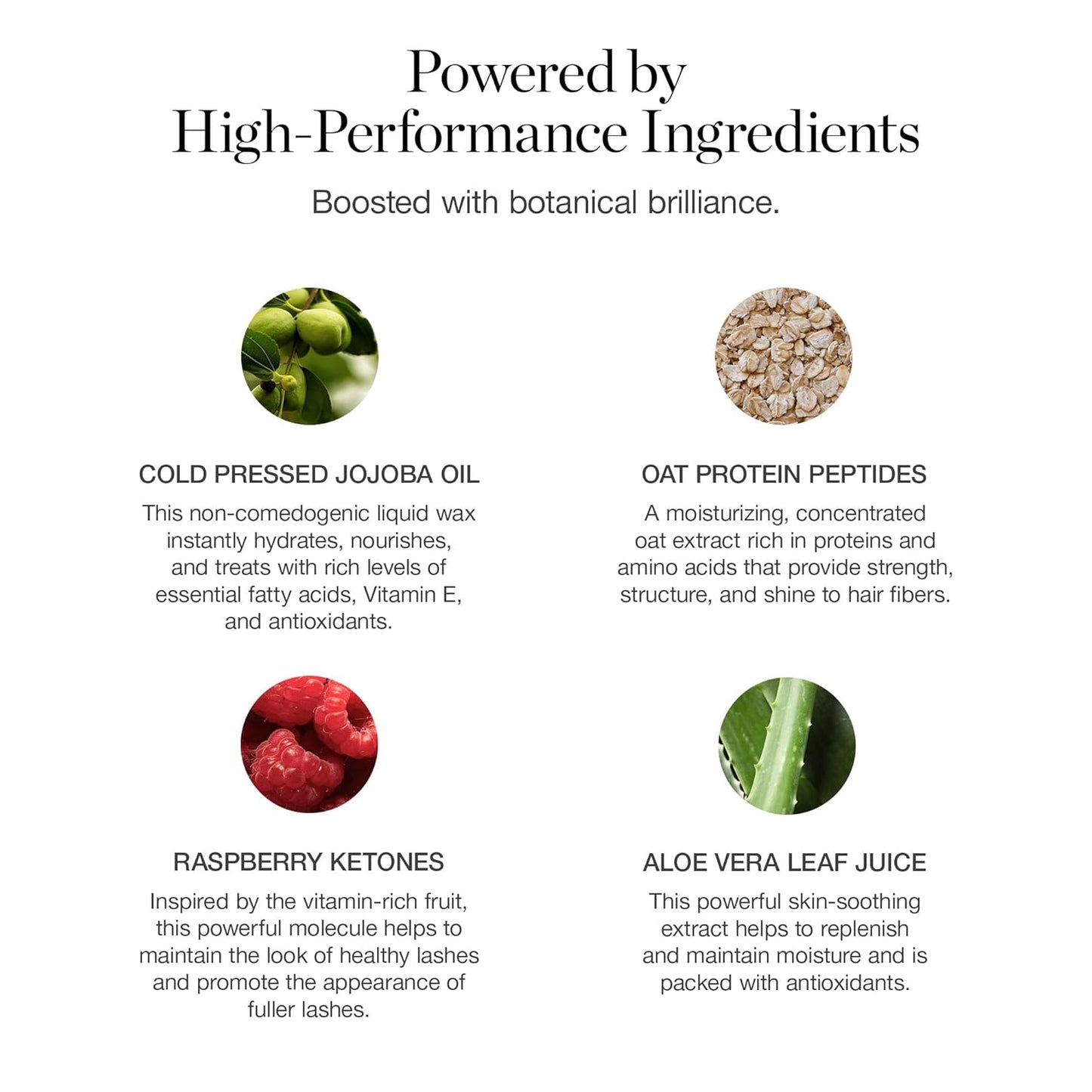 Ogee Beyond Clean Volumizing Mascara - Certified Organic Black Mascara for Volume and Length - Lengthening Lashes for Sensitive Eyes