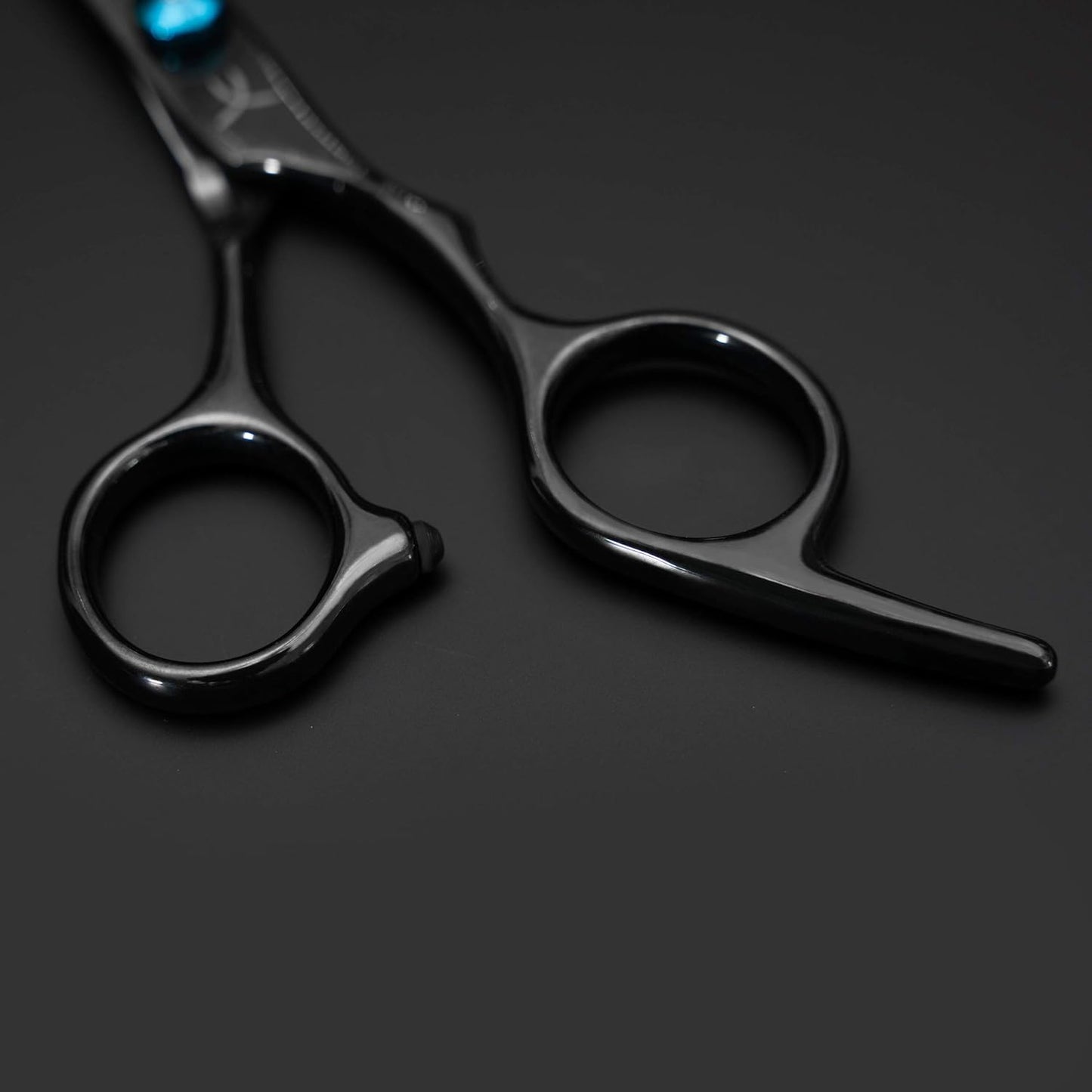 FARRAY 6.5" Professional Hair Cutting Scissors - Japanese Stainless Steel Barber Shears for Salon, Home, All Ages - Ergonomic Handle & Sharp Blades (Black)