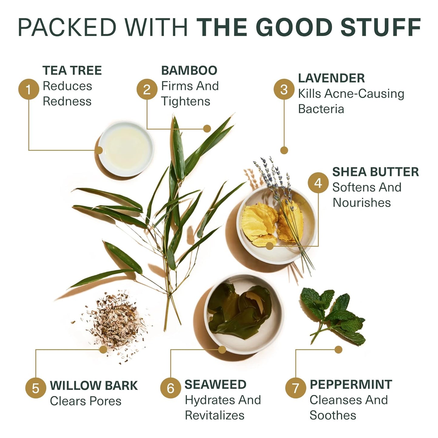 Botanic Tree Glycolic Acid Face Wash - Facial Cleanser For Skin Care, Treatment Scrub, 10% Glycolic and Salicylic Acid 6 fl. oz (2 pack)