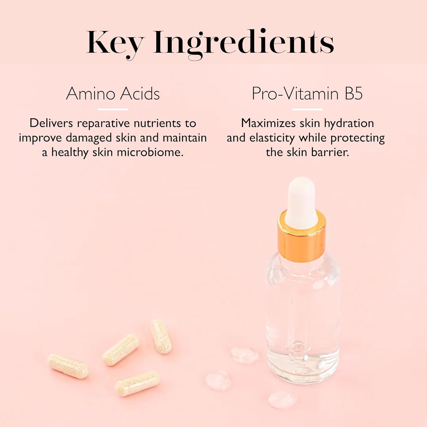 Spongelle Grapefruit Cassis Refill Hand & Body Wash | Nourishing Luxury Soap | Zesty Grapefruit, Cassis & Vanilla | 11 fl. oz.