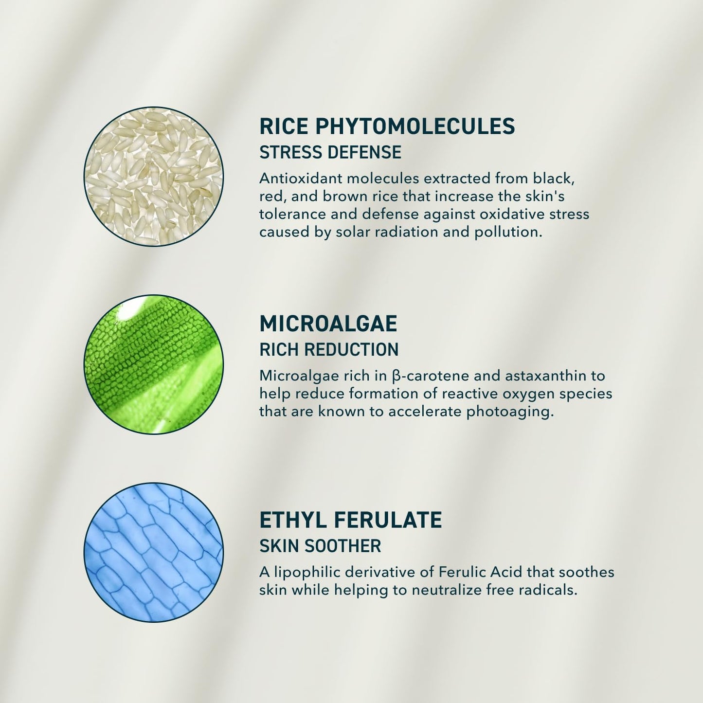 Prequel Skin Solar Shade - Moisturizing Face Sunscreen SPF 46 PA++++ Broad Spectrum UV Protection. Hydrating Sunblock for Dry Skin. Lightweight Travel Size Sun Protection, 1.7oz