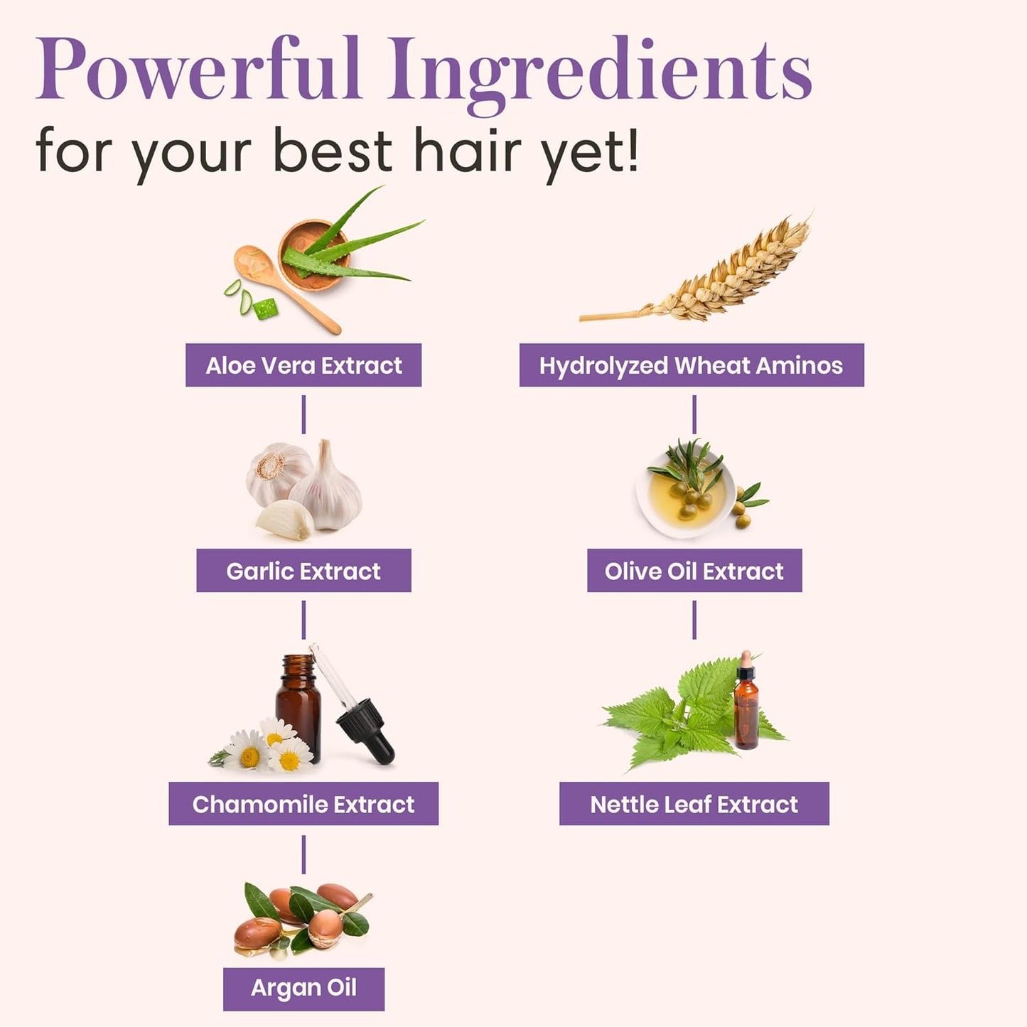 Nora Ross Garlic Extract Daily Shampoo and Conditioner Set with Chamomile Scent – Thickening Shampoo & Hydrating Conditioner Duo – Color Safe Formula for Women and Men with Normal to Dry Hair – 16oz