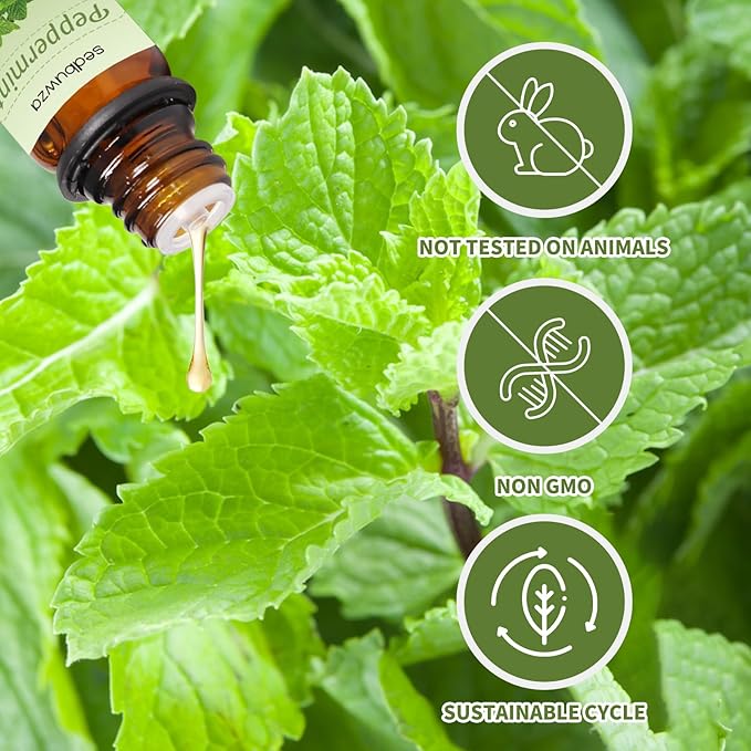 Sedbuwza Peppermint Eucalyptus Essential Oil Set, Peppermint Fragrance Oil Eucalyptus Scent Oil Set for Diffuser, Aromatherapy, Massage, Soap, Candle Making 2 x 10 ml