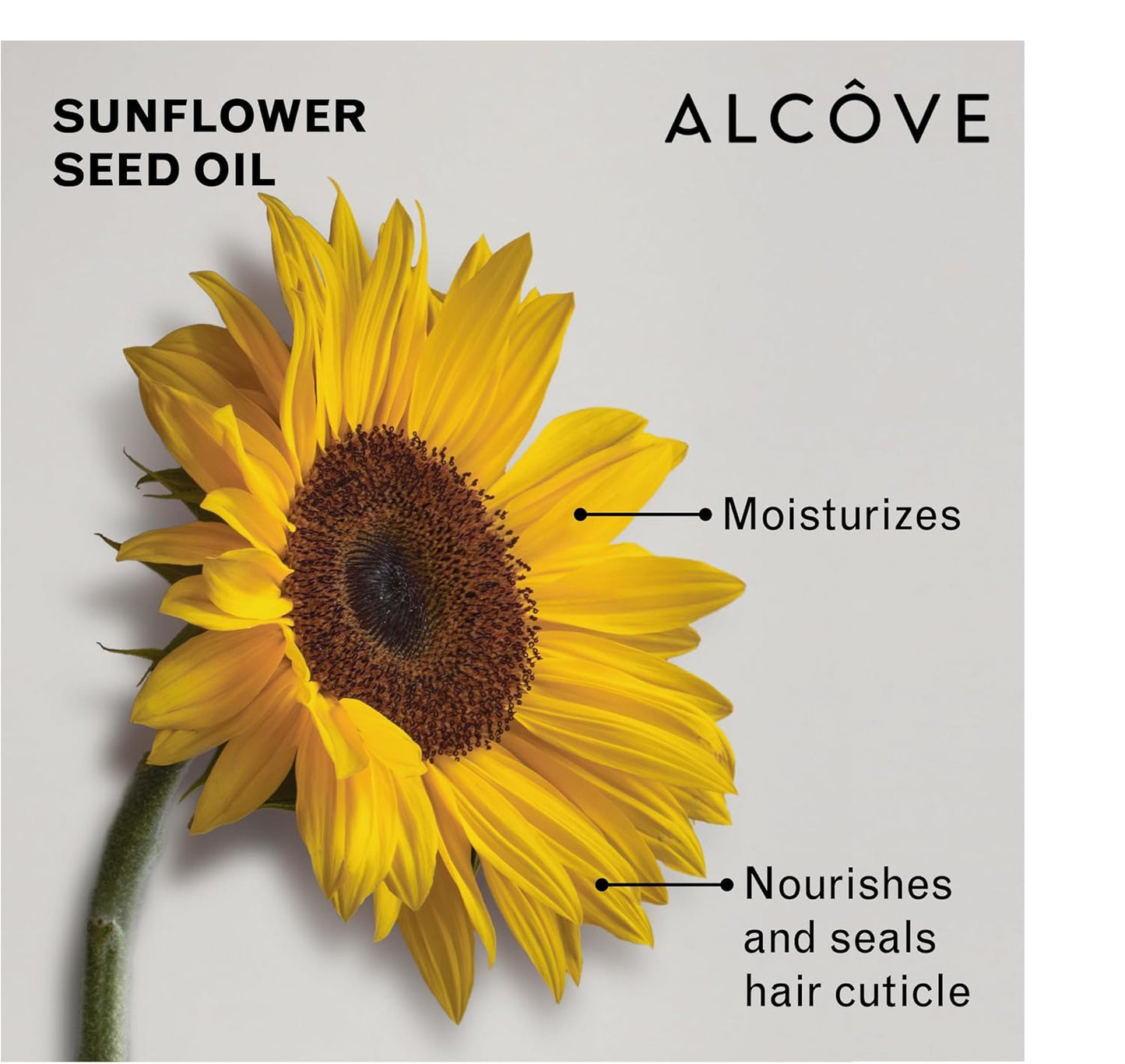 Alcôve - Hydrating Conditioner - Moisturizing & Nourishing - Helps hydrate Damaged Hair - Anti-frizz properties - Lightweight Formula - Made with Argan Oil - Color Safe - Sulfate Free - Vegan - 300ml