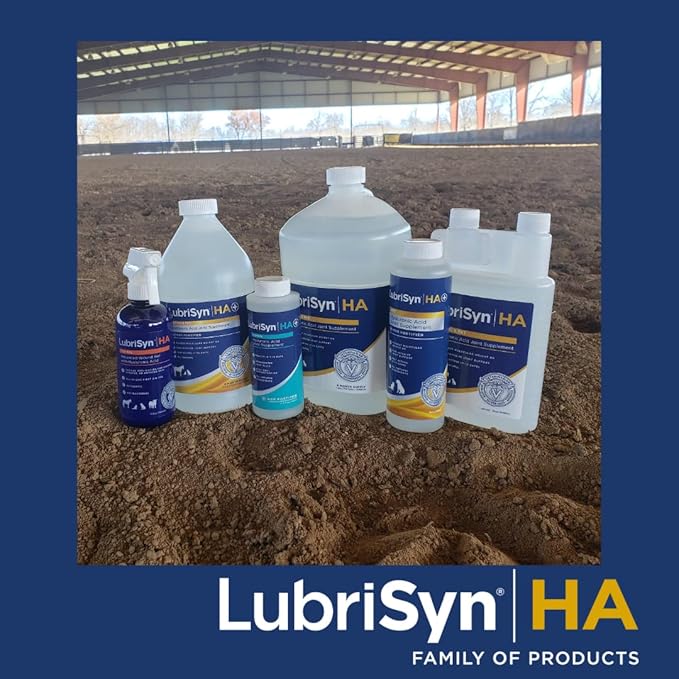 Lubrisyn HA with MSM - Proprietary Vegan Joint Relief Edible Supplement Made in USA for Humans - 3 Pack, 90 Day Supply of Liquid Hyaluronic Acid Formula for Healthy Joints