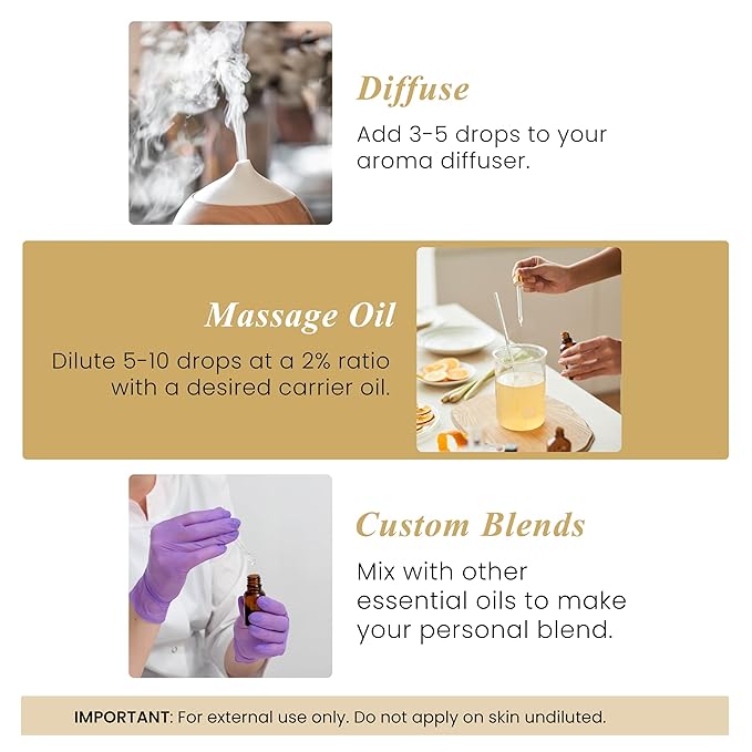 Handcraft Blends Ginger Essential Oil - 1 Fl Oz - 100% Pure and Natural - Premium Grade Essential Oil for Diffuser and Aromatherapy