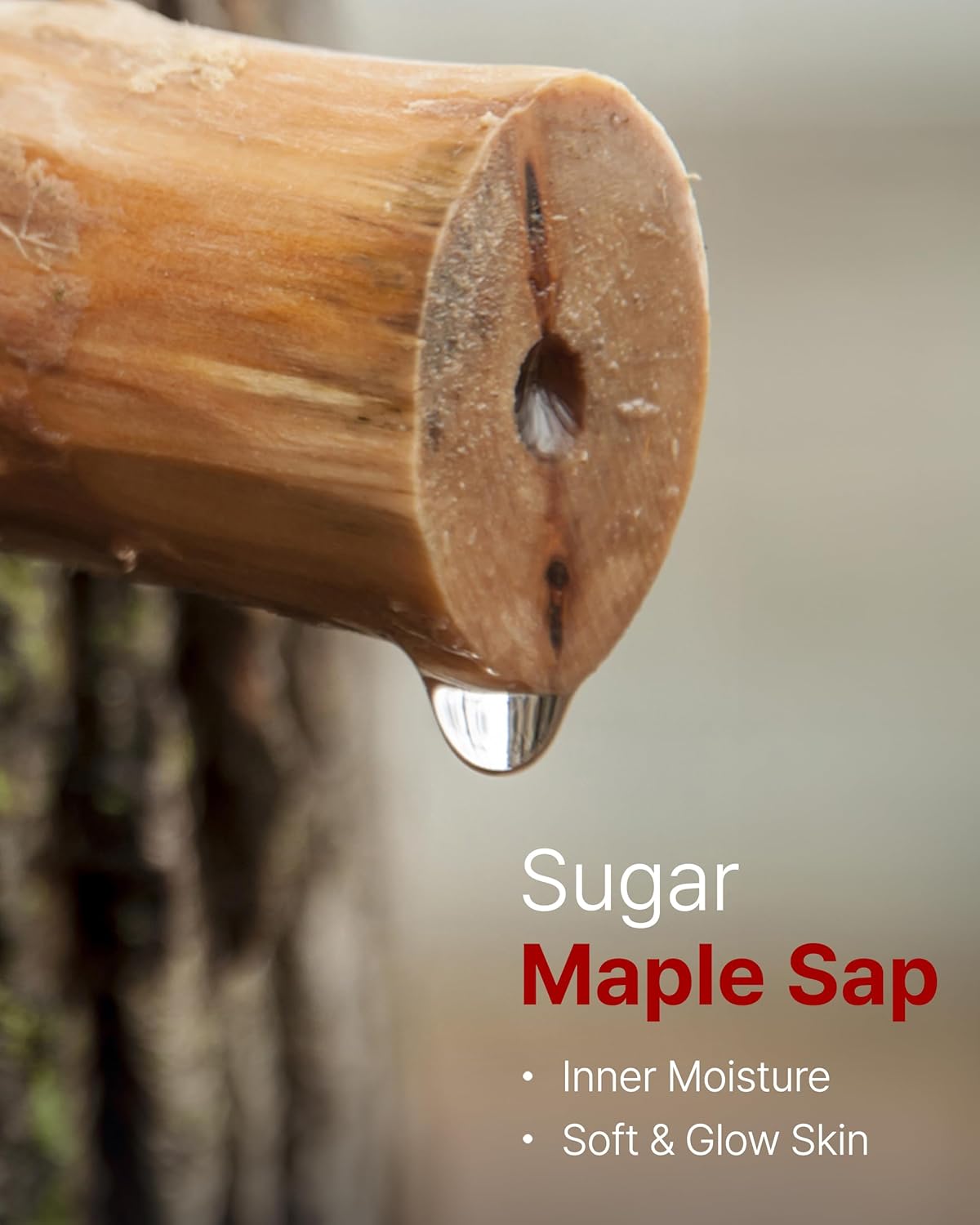 MAY COOP 3 STEP Moisturizing & Hydrating Korean Skincare Set - Essence Toner, Moisturizer Face Cream, Organic Activator Facial Serum All Skin Type