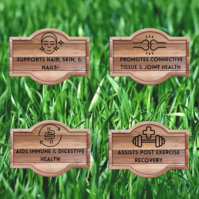 Primal Being Grassfed Beef Cartilage Collagen (Type I-V & XI)- Supports Hair, Skin, Nails, Joint Health, Immunity, Digestion, Post Exercise Recovery - 120 Capsules, 3000 mg per Serving