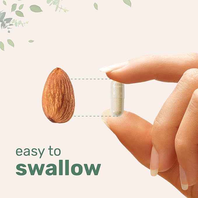 Micro Ingredients 2 Pack Multi Collagen Pills for Women & Men, 480 Capsules | Type I, II, III, V, X - Hydrolyzed Peptides with Biotin, Hyaluronic Acid & Vitamin C | Hair, Skin, Nail & Joint Support